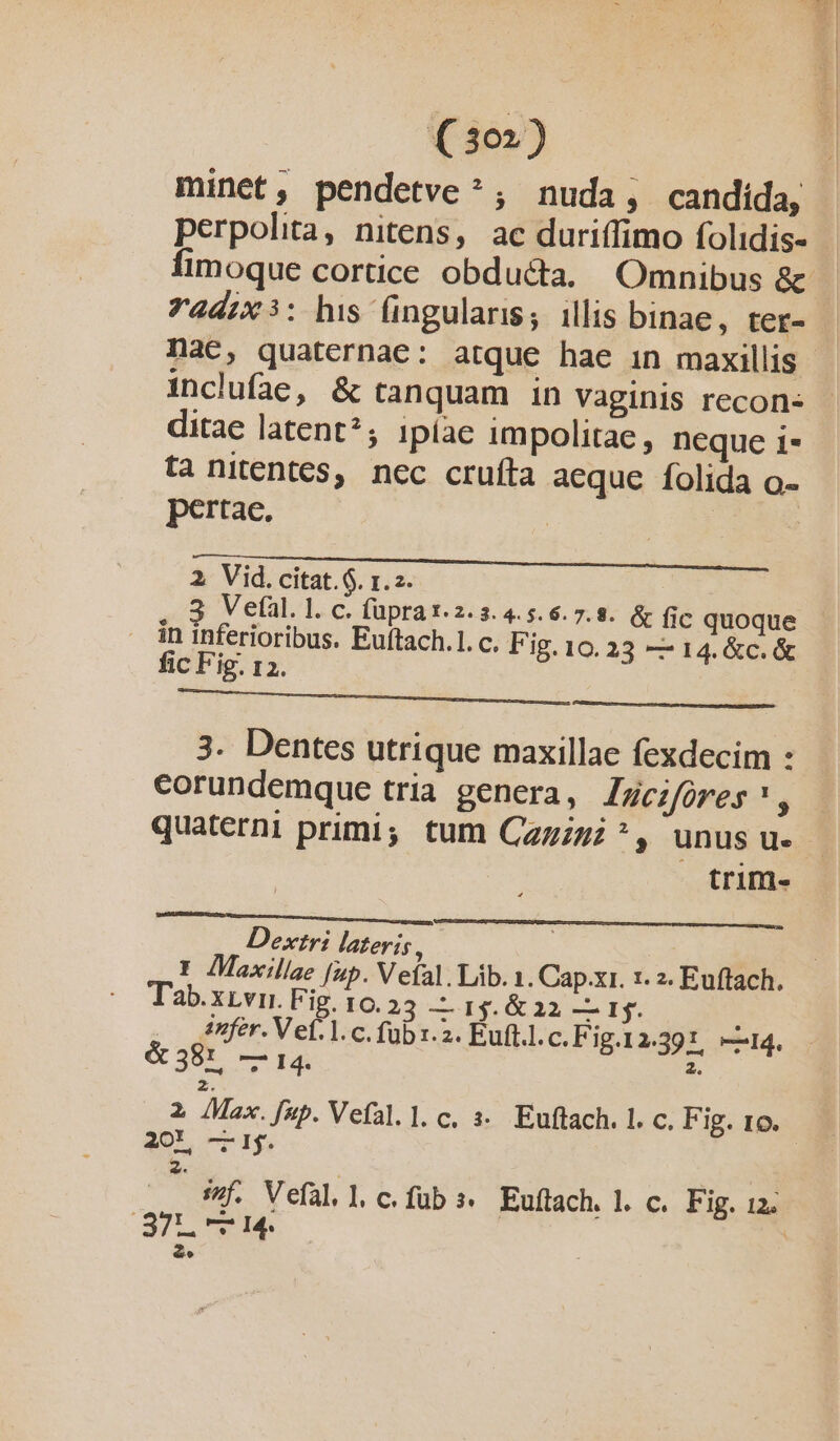 Go») minet, pendetve?; nuda, candida, Yadix3: his fingularis; illis binae, ter- Dae, quaternae: atque hae in maxillis inclufae, &amp; tanquam in Vaginis recon- ditae latent?; ipíae impolitae, neque i* ta nitentes, ncc crufta aeque folida o- pertae. 2 Vid.citat.$. 1.2. 3 Veíàl.1. c. füprat.2.3.4.5.6. 7.8. &amp; fic quoque in inferioribus. Euftach.l.c. F ig. 10. 23 -— 14. &amp;c. &amp; fic Fig. 12. detinere eei 3. Dentes utrique maxillae fexdecim : corundemque tria genera, Jcifores', trim- Dextri lateris, | f Maxillae fap. V efal. Lib. 1. Cap.xr. 1. z- Euffach. ab.XLvri. Fig. 10.23 — 15. &amp; a2 — 1. Anfer. V el. 1. c. füb 1.2. Euft.l.c.Fig.12.391. —14. 3 Hj —-— 14. 2. z. 2 Max. fap. Vefal.l.c. :»« Euftach. . c. F ig. 10. 20! -—I. z B 37L 7 14. PT