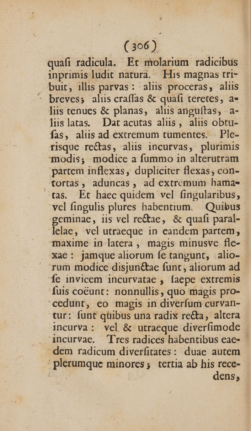 quafi radicula. Er mrolarium radicibus inprimis ludit naturà. His magnas tri- buit, illis parvas: alus proceras, aliis. - breves; aliis craffas &amp; quafi teretes, a» liis tenues &amp; planas, alus anguítas, a- lislatas Datacutas alus, alus obtu- - fas, aliis ad extremum tumentes. — Ple- risque rectas, alus incurvas, plurimis modis; modice a fummo in alterutram partem inflexas, dupliciter flexas, con-- tortas , aduncas, ad extremum hamas tas. Et haec quidem vel fingularibus, | vel fingulis plures habentium. — Quibus geminae, iis vel re&amp;ae, &amp; quafi paral- lelae, vel utraeque in eandem partem; Taxime in latera , magis minusve fle- - Xae: jamque aliorum fe tangunt, |: alio- rum modice disjun&amp;ae funt, aliorum ad - Íe invicem incurvatae , faepe extremis fuis coéunt: nonnullis, quo magis pro- cedunt, eo magis in diverfum curvan- tur: funt qüibus una radix re&amp;a, altera incurva: vel &amp; utraeque diverfimode incurvae. Tres radices habentibus eae» - dem radicum diverfitates: duae autem plerumque minores; tertia ab his rece- dens;