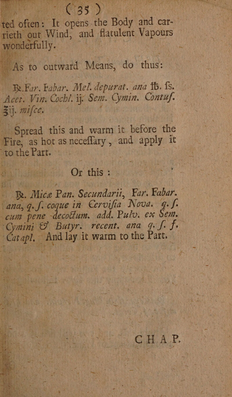 #5 - f “As to outward Means, do thus: i, Be. Fur. Babar. Mel. depurat. ana tb. fs. Acet. Vin. Cochl. ij: Sem. Cymin. Contuf. By. mice. ia Spread this and warm it before the Fire, as hot as neceflary , and apply it ‘tothe Part. 3 a oi. amen: Ox this 3: meet es Be. Mice Pan. Secundarii, Far. Fabar. oe re &amp; € pe Pha eo + i