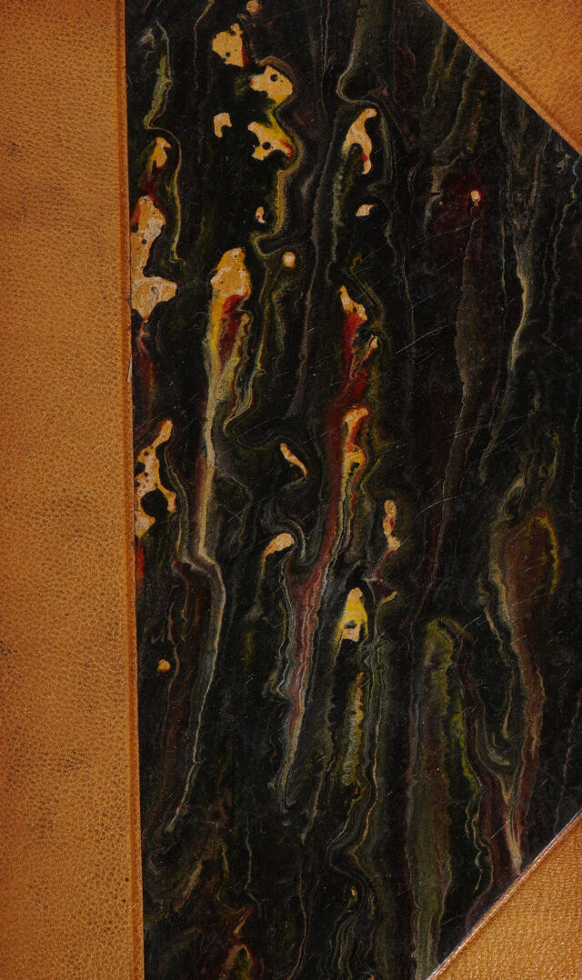 No text description is available for this image