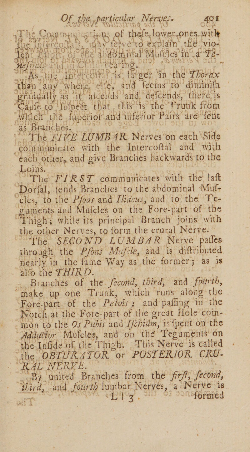 | a PEE AEG: AOE RRS j tie RS Ql t t fe, lawer.one witle Corals, oay fey ve : explain, th -V10+ t pian thy Asahi Bue mn a “ae Fs +f a ot us ; a) “AS oti}: , 2 fAteT, ¥ + Seeds ay. nae oe. he Tddind to iti adda ally ag it aicends ‘and, “defdends,” there is Stig 1 aie to ‘fufp c&amp; that this is the’ Prunk from “avhich the fp crior and iuferior Paits’ are “feut “as. “Branches. : 4 ~The F/VE LUMB AR Nerves on dich’ Side “cominonicate with the Intercoftal and with “each Other, 2 and give Branches backwards to the Loins. - = “The FIRST communicates pe the: laft “Dorfal, dends Branches to the abdominal Muf- ofl to the Pfoas and Tlidcus, and to) the Te- uments ‘and Mafcles on the Fore- -part of the high; while its principal Branch joins with _the other Nerves, to form the crural Nerve. “The SECOND LUMBAR Nerve pailes through the P/fons Mufcle, and is diftrivuted nearly in the fame Way as the former 5 as is alfo the THIRD. , Branches of the. fecond, third, and Harb, “make ap one Trunk, which runs along the Fore. part. of the Pelvis ; and paffing “in the ; Notch: at the Fore- part of the great Hole com-. “mon to the 9s Pubis and Yichidm, is {pent on the “Adduttor Mofcles, and on the Teouments on ‘the Infide of, the Thigh. This Nerve is called “the ‘OBTUR ATOR. or POST ERIOR CRU- Rab pao ie Pues By united Branches from. the fi, Jfecont, Wind,” cand. faurth lumbar. Nerves, a IvEN is be se “) So Sforaved ad 7 vee i z
