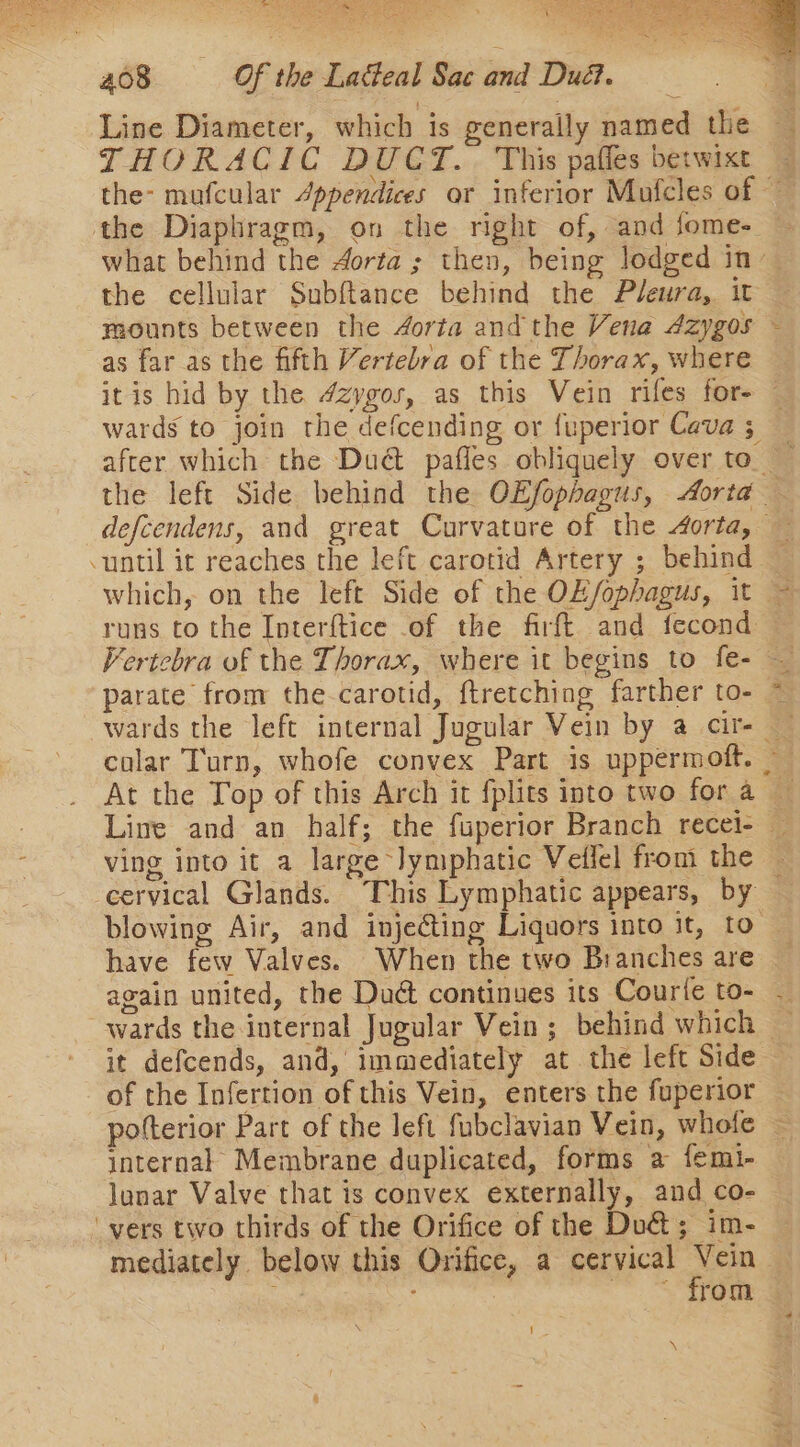 - &gt; i re A -, a A hed * oe: es ee *? wy Sy. BP anes 468 Of the Ladeal Sac and Dud. Line Diameter, which is generally named the THORACIC DUCT. This paffes betwixt the cellular Subftance behind the Pleura, it as far as the fifth Vertebra of the Thorax, where after which the Dué@ pafles obliquely over to At the Top of this Arch it fplits into two for a cervical Glands. This Lymphatic appears, by have few Valves. When the two Branches are again united, the Dud continues its Courte to- of the Infertion of this Vein, enters the fuperior pofterior Part of the left fubclavian Vein, whofe internal Membrane duplicated, forms a femi- lunar Valve that is convex externally, and co- mediately below this Orifice, a cervical Vein a from ie \