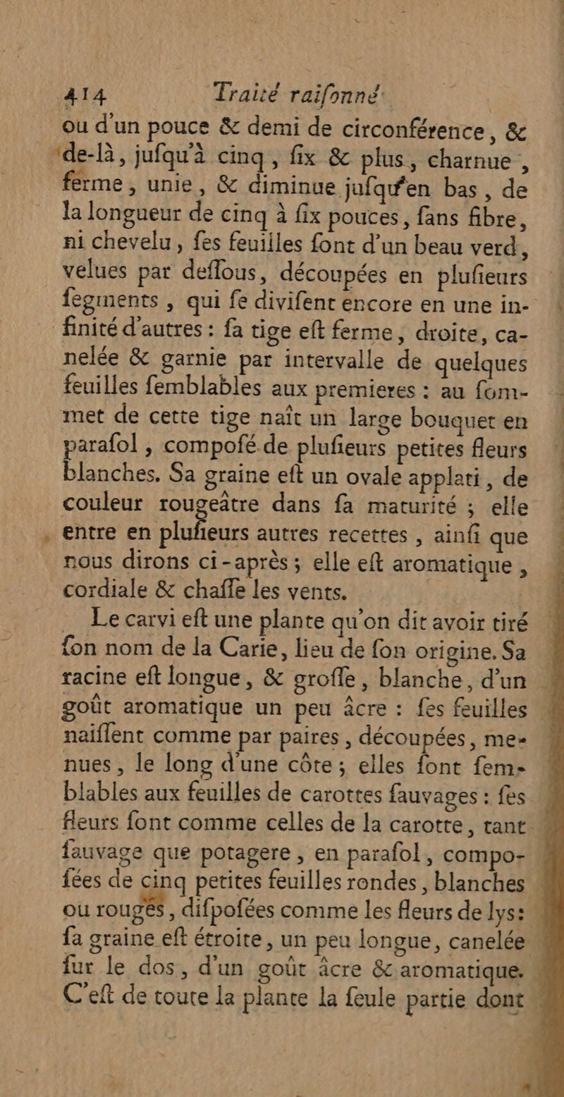 æ ou d'un pouce &amp; demi de circonférence, &amp; de-là, jufqu'à cinq, fix &amp; plus, charnue , ferme, unie, &amp; diminue jufqwen bas, de la longueur de cinq à fix pouces, fans fibre, ni chevelu, fes feuiiles font d’un beau verd, velues par deflous, découpées en plufieurs fegments , qui fe divifent encore en une in- finité d’autres : fa tige eft ferme, droite, ca- nelée &amp; garnie par intervalle de quelques feuilles femblables aux premieres : au fom- met de cette tige naît un large bouquet en parafol , compofé de plufeurs petites fleurs blanches. Sa graine eft un ovale applati, de couleur rougeitre dans fa maturité ; elle entre en DO autres recettes , ainfi que nous dirons ci-après; elle eft aromatique , cordiale &amp; chaffe les vents. | Le carvi eft une plante qu'on dit avoir tiré fon nom de la Carie, lieu de fon origine, Sa racine eft longue, &amp; grofle, blanche, d'un naïflent comme par paires , découpées, me- nues, le long d'une côte; elles font fem- blables aux feuilles de carottes fauvages : fes fauvage que potagere , en parafol, compo- C'eft de toure la plante la feule partie dont