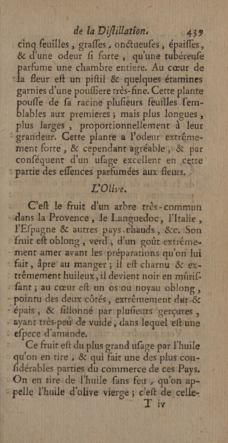rt de la Difüllations 439 . cinq feuilles, grafles , ondtueufes, épaifles, : & d'une odeur fi forte , qu'une tubéreufe parfume une chambre entiere, Au cœur de ‘la fleur eft un piftil & quelques étamines garnies d’une poufliere très-fine. Cette plante oufle de fa racine plufieurs feuilles fem- btables aux premieres ; mais plus lonoues, plus larges , proportionnellement à leur “grandeur. Cette plante a lodeur extrême ment forte , & cependant agréable, & par conféquent d'un ufage excellent en certe ‘partie des effences parfumées aux fleurs. , L'Olive. + C’eft le fruit d'un arbre très-commun -“dans la Provence , le Languedoc, l'Italie, l'Efpagne & autres pays.chauds , &c::Son fruit eft oblong , verd, d'un goûtextrème. - ment amer avant les préparations qu'on lui : fait, âpre’ au manger ; il eff charnu & ex trêmement huileux, il devient noir en mürif ‘fant ; au cœur eft un os:ou noyau oblong , - pointu des deux:côtés, extrêmement dur.& - épais, & fionné par plufeurs gerçures , ayant très- peu de vuide ; dans lequel ‘eftune - efpece d'amande. ve Ce fruit eft du plus grand ufage par l'huile * qu'on en tire ; & qui fait une des plus con- fidérables parties du commerce de ces Pays. - On en tireide l'huile fans few; qu'on ap- - pelle l'huile d'olive vierge ; ps de: ceile- iy