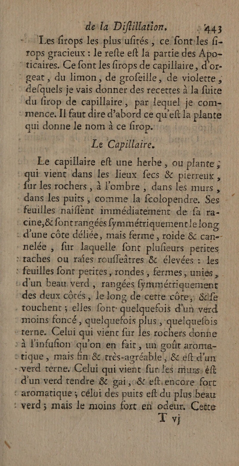 Les firops les plus'ufités, ce fontiles fi- rops gracieux : le refte eft la partie des Apo- ticaires. Ce font les firops de capillaire, d’or- * geat, du limon, de orofgille, de violette ; _ defquels je vais donner des recettes à la fuite du firop de capillaire, par lequel je com- -mence. Îl faut dire d’abord ce qu'eft la plante qui donne le nom à ce firop. ht Le Capillaire. Le capillaire eft une herbe , ou plante ; qui vient dans les lieux fecs &amp; pierreux, fur les rochers , à l'ombre , dans les murs , - danses puits; comme la fcolopendre, Ses ” feuilles naïflent immédiatement. de {à ra- cine,&amp; fontrangées fymmétriquementie long - d'une côte déliée, mais ferme, roide &amp; can-- nelée , fur laquelle font plufeurs perites taches ou raies roufleitres &amp;c élevées : Les ‘ feuilles font petites , rondes, fermes , unies. : d'un beau: verd ) Tan gées fymmétriquement des deux côtés , le long decette côre,, &amp;ife - touchent ; elles font: quelquefois d'un-verd moins foncé , quelquefois plus: quelquefois - terne. Celui qui vient fur lés rochers donhe : à Finfufñon qu'on en fait, un goût aroma- -tique, mais fin: &amp;;très-agréable, &amp; éft-d'un -verd terne, Celui qui vient-fun les:munss éft d'un verd tendre &amp; gai,0&amp; eftencore fort ‘aromatique; célui des puits eft du plus beau : verd; mais le moins fort en odeur. Cette T vi *,