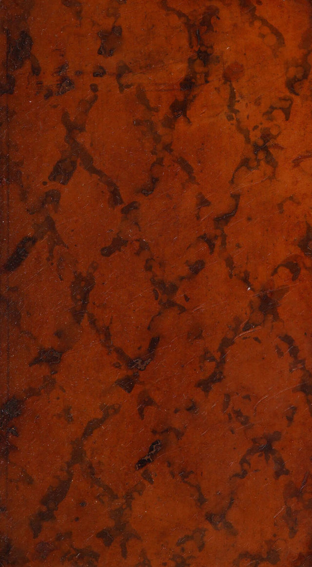 digitised image 1