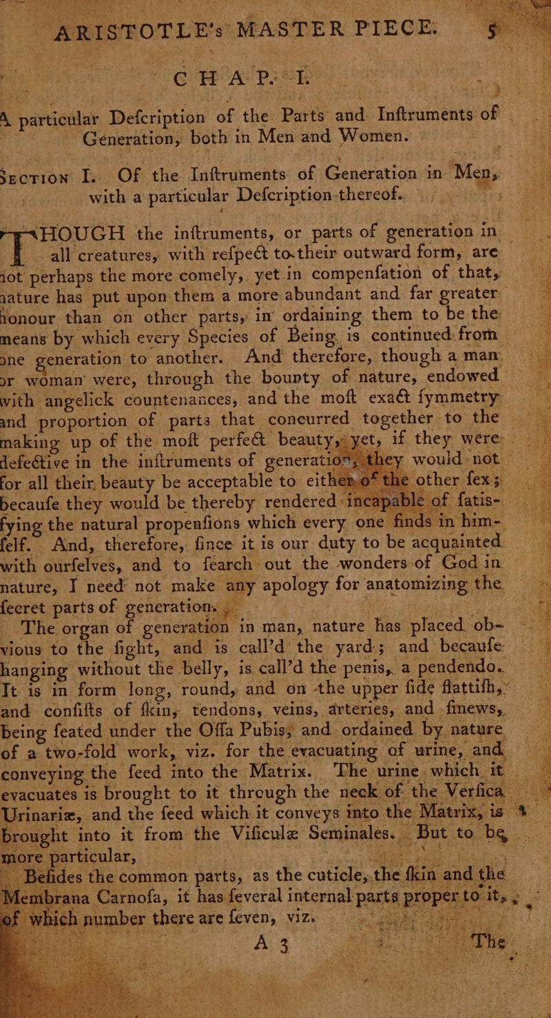 ip Shk caanl WH TACAR Eee wee . ~*~. ee ARISTOTLE's MASTER PIECE. By oe GEC Rey A particular Defcription of the Parts and Inftruments of — ~ Generation, both in Men and Women. | 3 section I. Of the Inftruments of Generation in Men, with a particular Defcription thereof. -e<xHOUGH the inftruments, or parts of generation re eme — - allcreatures, with refpect to.their outward form, are jot perhaps the more comely, yet .in compenfation of that, nature has put upon them a more abundant and far greater honour than on other parts, in’ ordaining them to be the: means by which every Species of Being. is continued from one generation to another. — And therefore, though a mam” or woman’ were, through the bourty of nature, endowed — with angelick countenaaces, and the moft exact fymmetry and proportion of parts that coneurred together to hie: jie making up of the moft perfect beauty, yet, if they were — a defeétive in the inftruments of generatio: , they would not | for all their, beauty be acceptable to citheno ex; becaufe they would be thereby rendered i able of fatis- fying the natural propenfions which every one finds in him- felf.. And, therefore, fince it is our duty to be acquainted with ourfelves, and to fearch out the wonders of God in nature, J need not make any apology for anatomizing the =~ fecret parts of generation. . ; yr abee.® - The organ of generation in man, nature has placed, ob- a. vious to the fight, and is call’d the yard; and becaufe hanging without the belly, is call’d the penis, a pendendo.. Tt is in form long, round, and on the upper fide flattifh,~ and confilts of fin, tendons, veins, arteries, and finews,, being feated under the Offa Pubis, and ordained by nature _ of a two-fold work, viz. for the evacuating of urine, and conveying the feed into the Matrix. The urine which it evacuates is brought to it through the neck of the Verfic Urinariz, and the feed which it conveys into the Matrix, is | brought into it from the Vificule Seminales. - Butte, be. more particular, Pee on a cae es the common parts, as the cuticle, the kin at a Carnofa, it has feveral internal parts proper & oN na — «i ee Seas Be Se Se ee et ee number there are feven, viz.