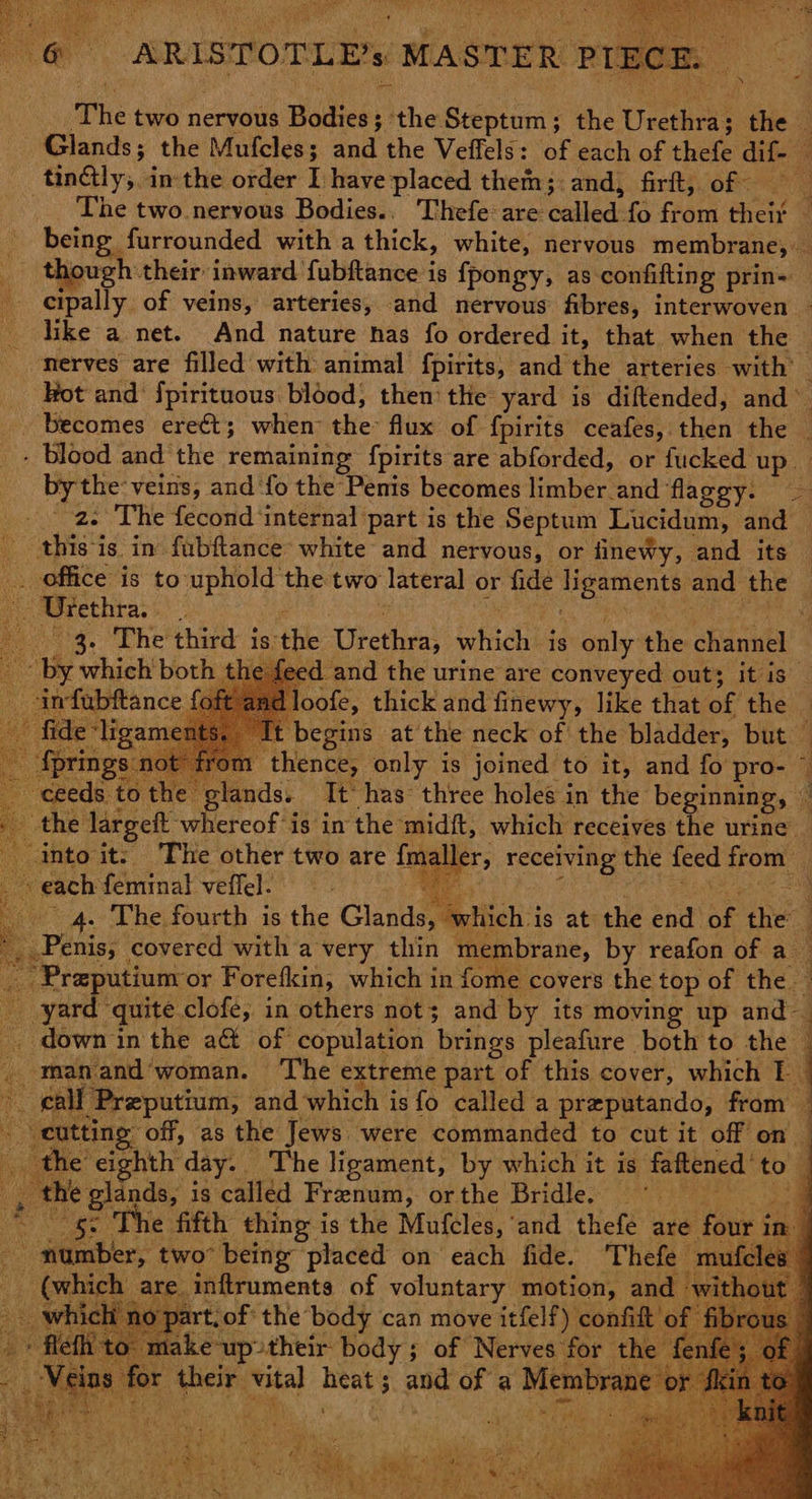 ARISTOTLE’ MASTER PT 8: Aa The two nervous Boies: s the. Steptum ; ; the ees ae 3 hands; ; the Mufcles; dad the Veffels: of each of thet dif _ tin@ly; in the order I have placed them;: and, firft, of = _ The two nervous Bodies.. 'Thefe: are walled fo fron their © being. furrounded with a thick, white, nervous membrane, rf tl ough: their inward fubftance is fpongy, as confifting prin= eipally of veins, arteries, and nervous fibres, interwoven | like a net. And nature has fo ordered it, that when the | nerves are filled with animal fpirits, and the arteries with’ . _ Hot and {pirituous blood; then the yard is diftended, and © Becomes ereét; when the: flux of f{pirits ceafes,. then the 4 + blood and the remaining {pirits are abforded, or fucked up eine veins, and fo the Penis becomes limber and ‘flaggy. a orga 1 tee ‘eond: internal part is the Septum Lucidum, and — M4 this i is. in’ fubftance: white and nervous, or finewy, and its . office is to eee the two lateral or fide Hasoiy and the Urethra. ; 3. The third is: the Utethia! sohiich is only: the chanuel by which both the feed and the urine are conveyed out; it is j , loofe, thick and finewy, like that of the t begins at the neck of the bladder, but — thence, only is joined to it, and fo pro- lands. It‘ has three holes in the beginning, © the largeft ce reof is in the midft, which receives the urine _ “into it: The other two are cae ncoeiyine the feed from | each feminal veffel. E ay 4. The fourth is the Glens ‘which i is at the ane a the Penis; covered with a very thin membrane, by reafon of a Praputium or Forefkin, which in fome covers the top of the yard quite clofe, in others not; and by its moving up and— _ down in the at of copulation brings pleafure both to the | manand’woman. The extreme part ok this cover, which 1 gall Preputium, and which is fo called a preputando, from tt ie off, as the Jews were commanded to cut it off on — 1e eighth day. The ligament, by which it is fattened to. the glands, i is called Frenum, orthe Bridle. ara ok ge The fifth thing i is the Mufcles, ‘and thefe are fou ‘number, two’ being placed on each fide. : (which are inflrumente of voluntary motion, and rt, of the’ body can move itfelf) confit 'o: ae as | jake up-their body ; of Nerves for the | Vein et Aber: Sia} Benes ; and of a Men r ee kg Se ee en ee See ae