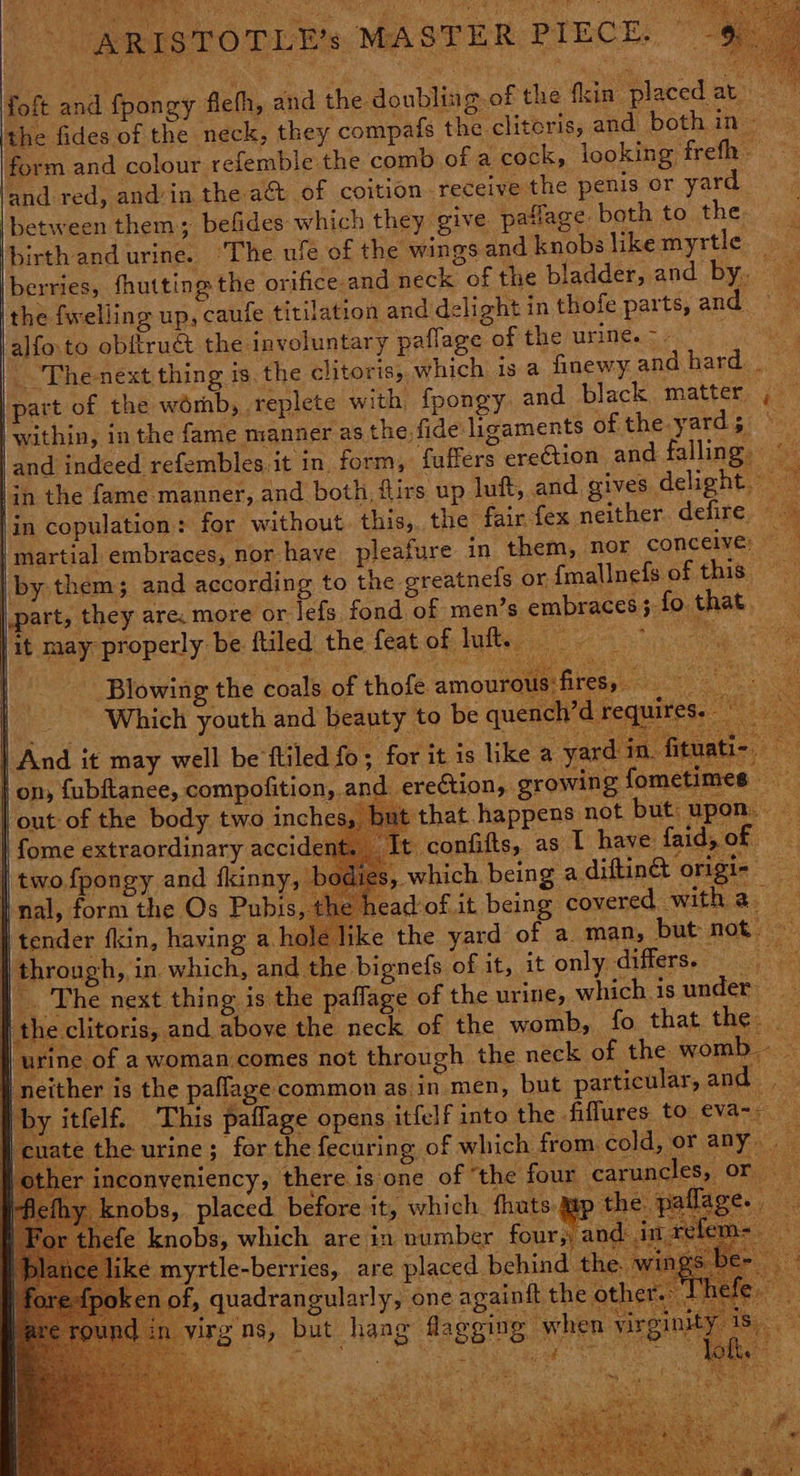 foft and fpongy flefh, and the doubling. of the fkin placed at the fides of the neck, they compafs the clitoris, and both in» form and colour refemble the comb of a cock, looking frefh and red, and’in the act of coition. receive the penis or yard between them; befides: which they give paflage both to the. ° puree ape urine. ‘The ufe of the wings and knobslikemyrtle berries, fhutting the orifice and neck of the bladder, and bys. 8 the fwelling up, caufe titilation and delight in thofe parts, and alfo. to obftruct the involuntary paflage of the urine. >. ie _ The néxt thing is, the clitoris, which is a finewy and hard | part of the womb, replete with {pongy and black matter , © | within, in the fame manner as the fide ligaments of the-yard; 9 jand indeed refembles.it in. form, fuffers ereCtion and falling lin the fame manner, and both, flirs up luf, and gives delight. : in copulation: for without. this, the fair fex neither. defire — | martial embraces, nor have pleafure in them, nor conceive; | by them; and according to the greatneis or {mallnefs of this | part, they are. more or lefs fond of men’s embraces; fo. that. ‘ be may properly be ftiled the feat of luft. oe ey eric” we iles eae Blowing the coals of thofe amourous fi LR lee eae Sage oe Which youth and beauty to be quench’d r | And it may well be'ftiled fo; for it is like a yard in. fit on, fubftanee, compofition, and ere¢tion, growing fometimes : but that happens not but upon. t confifts, as I have faid, of , which being a diftin@ origi out of the body two inches, | fome extraordinary accident | two.fpongy and fkinny, bodi j nal, form the Os Pubis rt h s head of it being covered witha. | tender fkin, having a. hole like the yard of a. man, but not. through, in. which, and the bignefs of it, it only differs. — a. ) The next thing is the paflage of the urine, which is under ; clitoris, and above the neck of the womb, fo that the ine of a woman comes not through the neck of the womb. neither is the paflage common as in men, but particular, and by itfelf. ‘This paflage opens itfelf into the fiffures to eva-- e the urine; for the fecuring of which from cold, or any. nconveniency, there is one of ‘the four caruncles, Or y kr obs, placed before it, which. fhuts- 3 ) the paflage. ee 1efe knobs, which are in number four; and in rele a é myrtle-berries, are placed behind the. en of, quadrangularly, one againft the other. + irgns, but hang fla eging when virgint > *