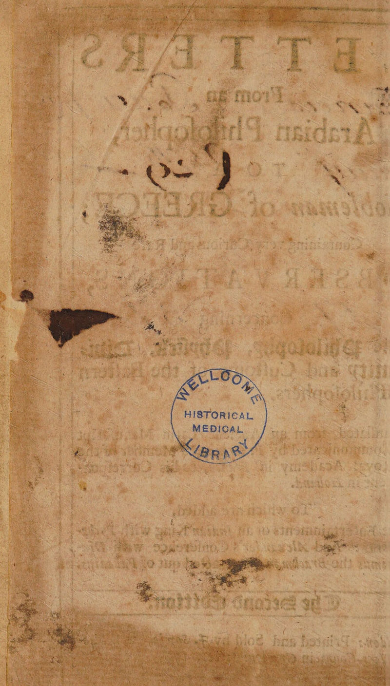 x di WS Set, tes Sh 4 $9 ee wq boa ecc € XR RENE eR s