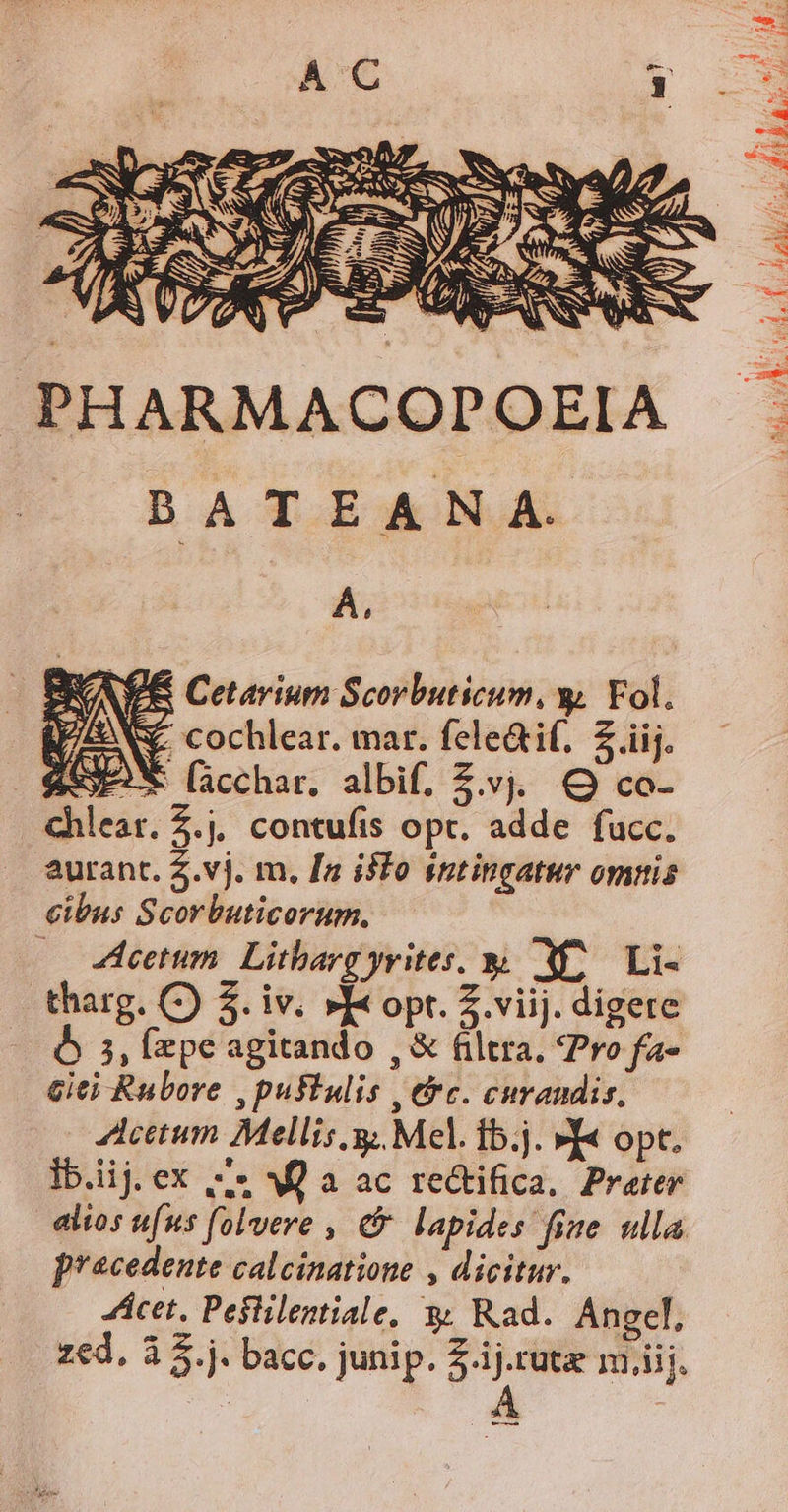 /&amp; Cetavium Scorbuticum, y. Fol. Z cochlear. mar. fele&amp;if, Z iij. EX (acchar, albif. Z.vyj. O co- leat. £.j, contufis opt. adde fucc. aurant. Z.vj. m. [a isfo sntingatur omnis cibus Scorbuticorum. (— 4cetum. Litharg yvites. y Mo — Li- tharg. C) 5. iv. »I« opt. Z.viij. digere Ó 3, (epe agitando , &amp; filtra, Pro fa- cie) Rubore , pustulis , ec. curandis, Acetum Mellis.g; Mel. 1b.j. »Y« opt. Ib.iij.ex ;-» M) a ac re&amp;tifica. Prater alios ufus folvere , c lapides fige. ulla. p*cedente calcinatione , dicitur. Acet, Pestilentiale, y; Rad. Angel, zd, à 5.j. bacc. junip. Z.ij.rute m.iij. | | Á ——