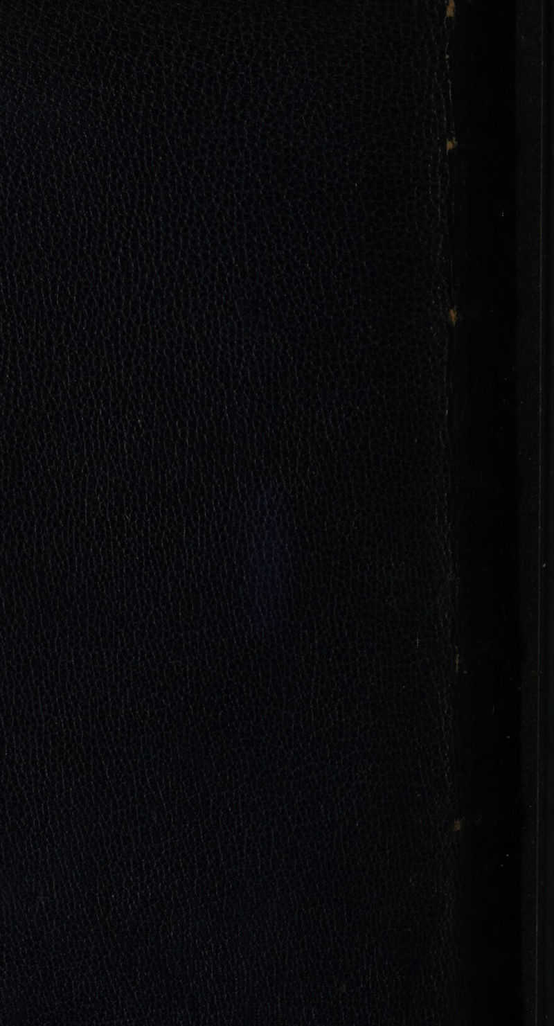 D Pr DR Pt Rare prob oi MTS TN nid