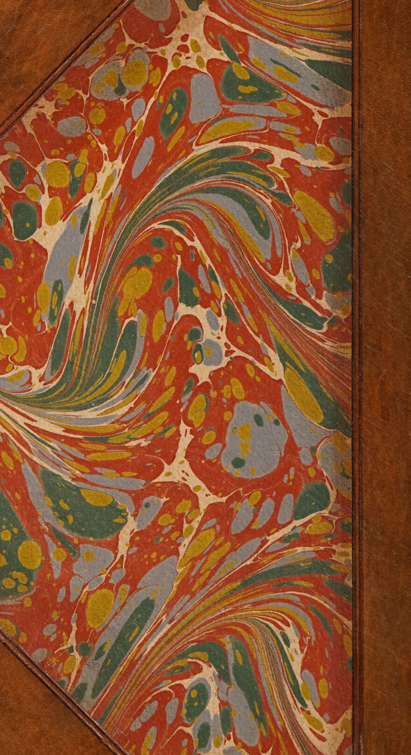 No text description is available for this image