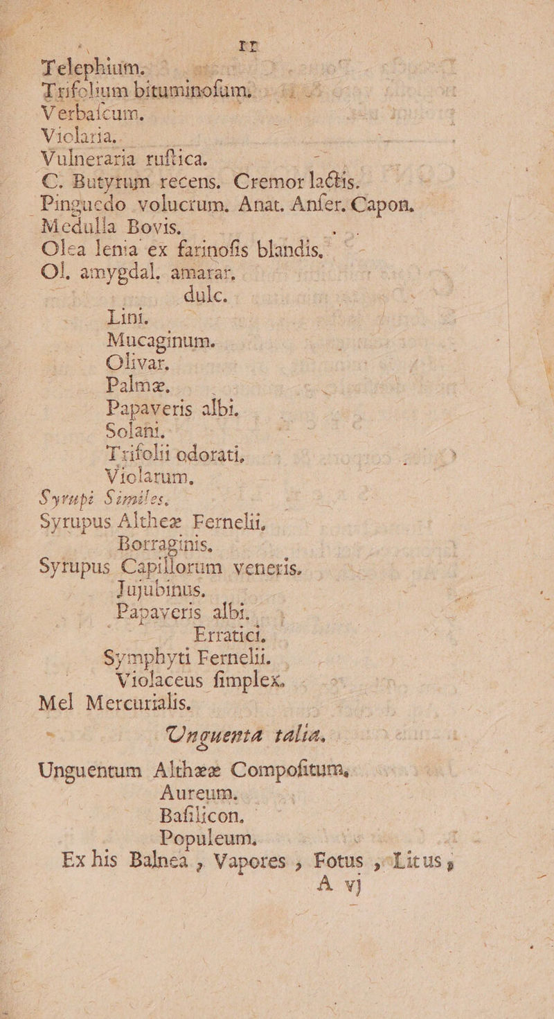 MOMELRCON Telep hium. eL von xL dut lum bituminofum. di Verbaicum. ; TD Viclatria.. | i Vulneraria ruftica. Wu C. Butytum recens. Cremor latis. Pingucedo volucrum. Anat. Anfer. Capon, Olea lenia ex farinofis blandis. d Ol. amygdal. amarar, ie dulc. Lint. Mucaginum. : Qlivar. | | jw Palma. : d | Y Papaveris albi. ps Solah!. H Tfoliodorati, 204€ y Violatum. Syrup Similes, Syrupus Althez Fernclii, Borraginis, Syrupus Capillorum veneris. Ju] jubinus, p reris albi. Erratici, Symphyti Ferneli. Violaceus fimplex. Mel Mercurialis.  Unguenta. talia. Unguentum Althee Compofitum, Aureum. . Bafilicon, ' Populeum, Ex his Balnca , Vapores ; Fotus ; Litus; A y) | 5