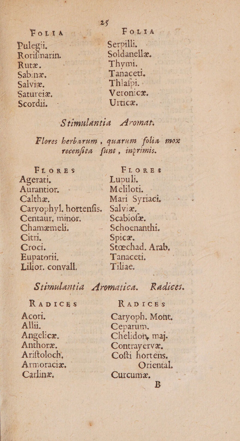 OYottA Puleg:t. Rorifinarin. Rutz. Sabinz. - Salvix. Saturetz, Scordii. FYorra Soldanella. Thymt. V eron:cz. Utiüte. s FrosmgEs Agerati, Aurantior, Calthe Centaur, minor. Chamzmelt. Citri. Croci. Eupatorii, Lilior. convall. Frogs Mcliloti. Man Syriact, Salviz. Schoenanthi. Spica. Stoechad. Arab. 'Tanaceti, Tiliae, RADICES ÁAcoti. Alu. Angcl:ce. Anthorz., Ariftoloch, Armoracia. Carinz. RADICES Caryoph. Mot. Ceparum. Chelidon, ma]. Contrayerva, Cofti hortens. Ortental, Curcumz, B