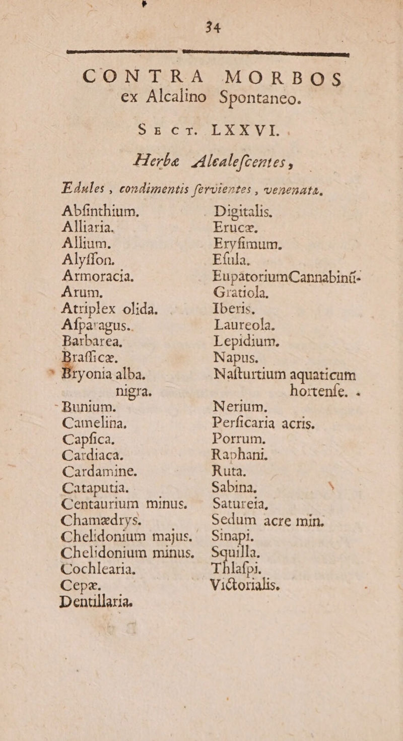 LXXVI, Abínthium. Alliaria. Allium. Alyffon. Armoracia. Arum. i Afparagus.. Barbarea, i cz. ryonia alba. nigra. Camelinpa, Capfica. Ca:diaca. Cardamine. Cataputia. Centaurium minus. Chamadrys. Cochlearia. Cepz. — Dentullaria. Digitalis, Erucz. Eryfimum. Efula, EupatoriumCannabinü- Gratiola. Iberis, Laureola, Lepidium. Napus. Naíturtium aquaticum ho:tenfe. . Nerium. Perficaria acris. Porrum. Rabhani. Ruta. Sabina. k Satureta, Sedum acre min. Sinapi. OUWEE Thlafpi. Victorialis.