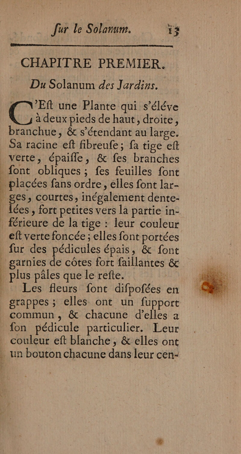 CHAPITRE PREMIER. Du Solanum des Jardins. g NE une Plante qui s’éléve C a deux pieds de haut, droite, branchue, &amp; s’étendant au large. Sa racine eft fibreufe; fa tige eft verte, épaifle, &amp; fes branches font obliques ; fes feuilles font placées fans ordre, elles font lar- eft verte foncée ; elles font portées fur des pédicules épais, &amp; font J D k plus pales que le refte. Les fleurs font difpofées en commun, &amp; chacune d'elles a fon pédicule particulier. Leur couleur eft blanche, &amp; elles ont