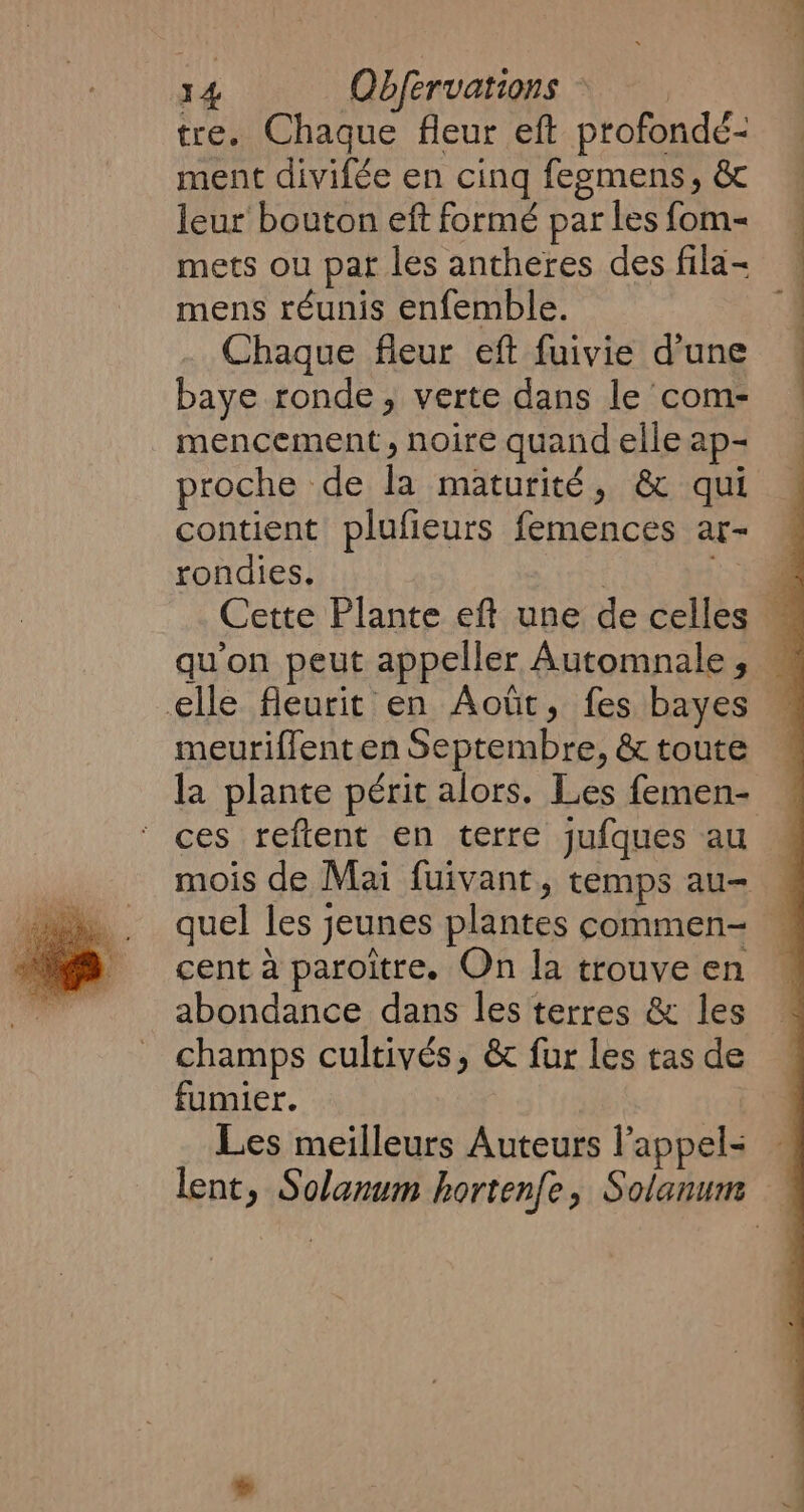 tre. Chaque fleur eft profondé- ment divifée en cinq fegmens, &amp; leur bouton eft formé par les fom- mets ou par les antheres des fila- mens réunis enfemble. Chaque fleur eft fuivie d’une baye ronde, verte dans le com- mencement, noire quand elle ap- proche de la maturité, &amp; qui contient plufieurs femences ar- rondies. 7 re Cette Plante eft une de celles qu'on peut appeller Automnale , elle fleurit en Août, fes bayes meuriffent en Septembre, &amp; toute la plante périt alors. Les femen- ces reftent en terre jufques au mois de Mai fuivant, temps au- _ quel les jeunes plantes commen- _ cent à paroitre. On la trouveen « abondance dans les terres &amp; les ~ champs cultivés, &amp; fur les tas de fumier. Les meilleurs Auteurs l'appel — lent, Solanum hortenfe, Solanum —