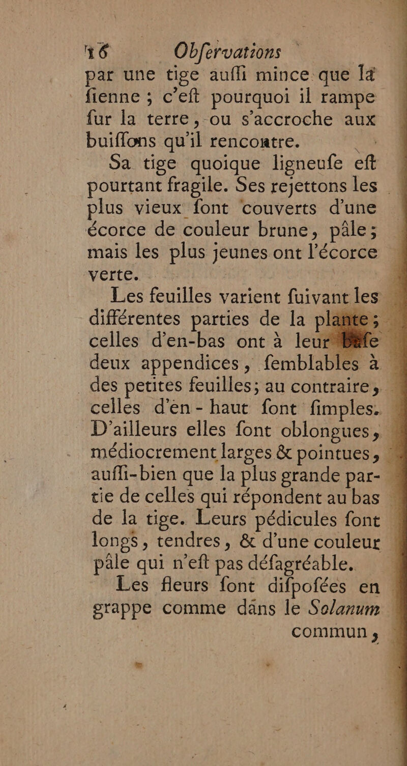 par une tige aufli mince que la fienne ; c’eft pourquoi il rampe fur la terre, ou s'accroche aux buiffons qu'il rencontre. QE Sa tige quoique ligneufe eft — pourtant fragile. Ses rejettons les ! plus vieux font couverts d’une écorce de couleur brune, pâle; mais les plus jeunes ont l'écorce Vertes: | i Les feuilles varient fuivant les « différentes parties de la plante; : celles d’en-bas ont à leur Bafe © deux appendices, femblables a | _ des petites feuilles; au contraire,  celles d'en - haut font fimples. — D'ailleurs elles font oblongues, « médiocrement larges &amp; pointues, — auffi-bien que la plus grande par- tie de celles qui répondent au bas — de la tige. Leurs pédicules font — longs, tendres, &amp; d’une couleur pale qui n'eft pas défagréable. Les fleurs font difpofées en. grappe comme dans le Selanum | commun; ©
