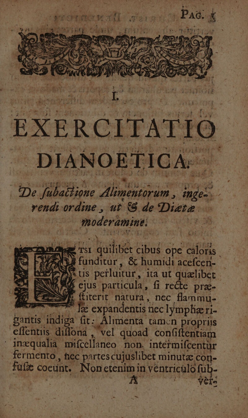 - CEXREROEFXLTIO — DIANOETICA - . tpe fubatiione Alimentorum , ingez. - vendi ordie , ut 68 de Digte: ce moderamine: X - i ] U £H , Sd rsr quilibet cibus ope YES fidit. &amp; uroidt deckt e us perlutur, ita ut quaelibet. NAE cjus particula, fi recte prae- ME ftiterit natura, nec flammu- mec Ie expandentis tiec lymplizri- gatis indiga fit: Almienta tam-n propriis €ffentiis. diffona . vel quoad confiftentiam - jnxqualia mifcellaneo non. intetmifcentür fermento , hiec partescujuslibet minutae con- füfie coeunt. Nonctenimiin véntricülo füb- E [. 2 fea A z à £35 t yere - ho - caloris |