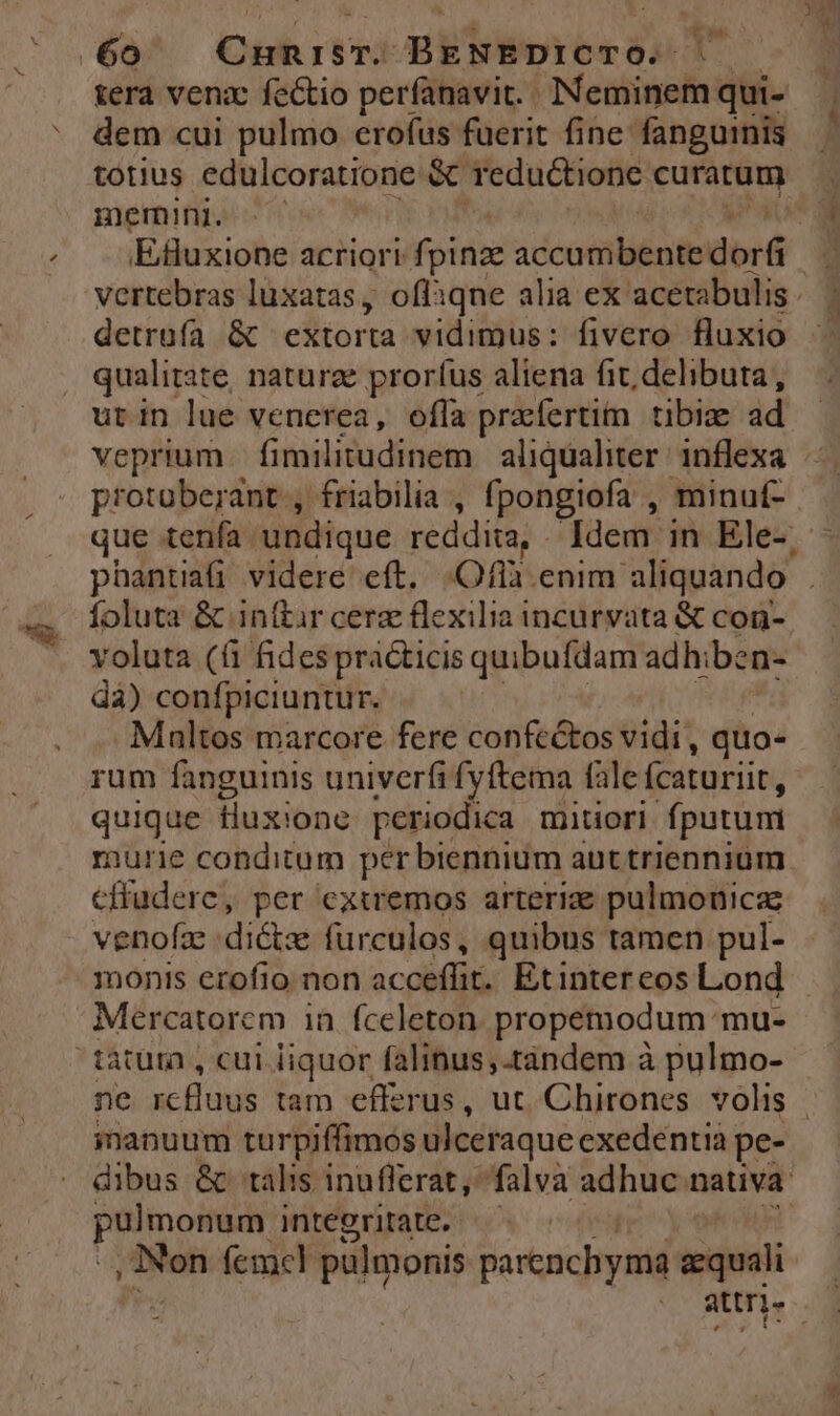 é e M ) tera venzc fectio perfanavit. Neminem qui- dem cui pulmo erofus fuerit fine fanguinis totius edulcoratione & reduction curie memini. c | Euxione acriori fpinze adcotiénie dbrá detrüfa & extorta vidimus: fivero fluxio qualitate, naturze prorfus aliena fit, delibuta, utin lue venerea, offa praefertim tibize ad veprium. fimilitudinem aliqualiter: inflexa protüberant , friabilia , fpongiofa , minuf- que tenía. undique reddita, Idem in Ele- phantiaü videre eft. :Oflà enim aliquando foluta & inftur cere flexilia incurvata & con- voluta (à fides practicis quibufdam adhiben- dà) confpiciuntur. Multos marcore fere confectos vidi, quo- rum fanguinis univerfi fyftema fale ícaturiit, quique tluxi:one periodica mitori fputum murie conditum perbiennium auttriennium cffudere, per cxiremos arterize pulmouicae venofz :dictz furculos, quibus tamen pul- monis erofio non accliiliti Etintereos Lond Mercatorem in fceleton. propemodum mu- ne rcfluus tam efferus, ut. Chirones volis - inanuum turpiffimos ulceraque exedentia pe- dibus & talis inufferat, falva adhuc nativa pie iei integritate. ^. Non femel pulmonis parenchymé quali | attri-