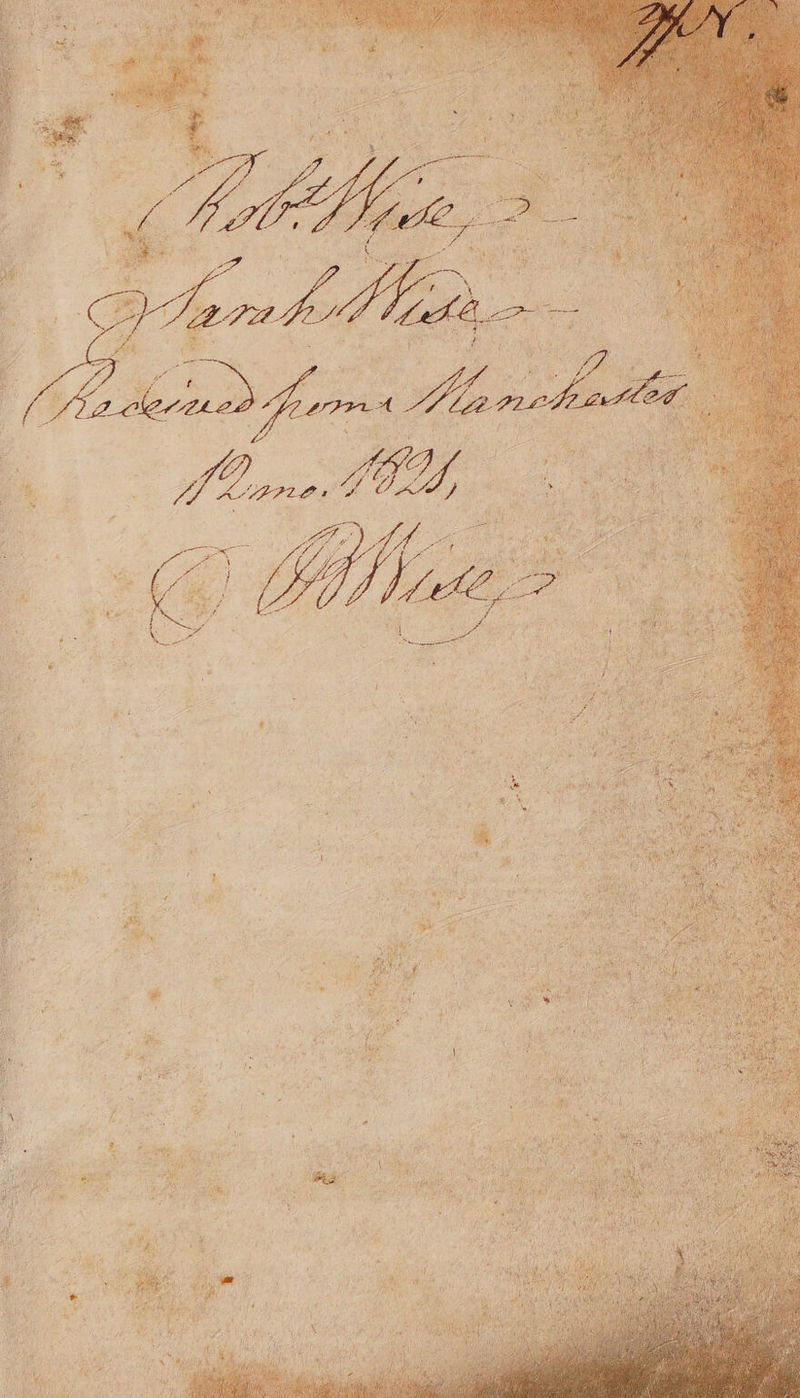 No text description is available for this image