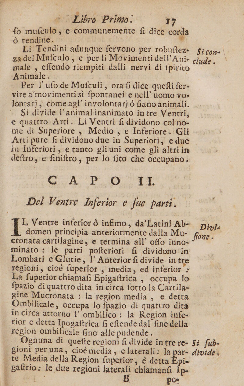 è i n Sianla è Libro Primo. &gt; +’ ‘fo mufculo, e communemente fi dice corda ò tendine. | # Li Tendini adunque fervono per robuftez» za del Mufculo, e per li Movimenti dell’Anie male , effendo riempiti dalli nervi di fpirito Animale. | | Per l’ufo de Mufculi, ora fi dice quefti fer- virea’movimentisiì fpontanei e nell’ uomo vo- lontarj, come agl’ involontarj ò fiano animali. Si divide l’animalinanimato intre Ventri, e quattro Arti. Li Ventri fi dividono col no- Arti pure fi dividono due in Superiori, e due in Inferiori, e tanto gliuni come gli altri in deftro, e finiftro, per lo fito che occupano. SGoA CC P_D TT Del Ventre Inferior e fue parti. L Ventre inferior ò infimo, da’Latini Ab- domen principia anteriormente dalla Mu- cronata cartilagine, e termina all’ offo inno- Lombari e Glutie, 1’ Anterior fi divide intre regioni, cioè fuperior , media, ed inferior’: La fuperior chiamafi Epigaftrica , occupa lo fpazio diquattro dita in circa fotto la Cartila- gine Mucronata : la region media , e detta Ombilicale, occupa lo fpazio di quattro dita in circa attorno 1° ombilico : la Region infe- rior e detta Ipogaftrica fi eftendedal fine della | region ombilicale fino alle pudende. Ognuna di quefte regioni fi divide in tre re- gioni peruna, cioè media, e laterali: la par- | te Media della Region fuperior, è detta Epi |. gaflrio: le due regioni laterali chiamanfi Ip» clude . Divi Si fub- divide» \