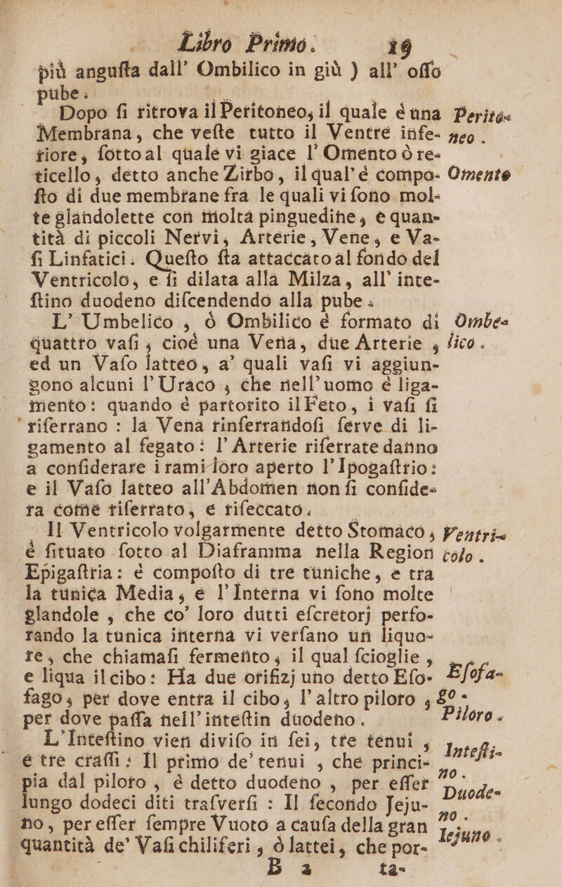 * .. Libro Primo. do. più angufta dall’ Ombilico in giù ) all’ offo ube : A | È: Dopo fi titrova il Peritoneo, il quale étna Periza« Membrana, che vefte tutto il Ventre infe- ge0. fiore; fotto al quale vi giace l’Omento ò re- ticello, detto anche Zirbo, il qual’é compo: Omente. fto di due membrane fra le quali vi fono mol: te glandolette con tiioltà pinguedihe; e quane tità di piccoli Nervi, Arterie, Vene, e Va- fi Linfatici. Quefto fta attaccato al fondo del Ventricolo, e fi dilata alla Milza, all’ inte- ftino duodeno difcendendo alla pube . L’ Umbelico | è Ombilico è formato di Ombes quattto vafi; cioé una Vena, due Arterie ; dico. ed un Vafo latteo, a’ quali vafi vi aggiun- sono alcuni l’ Uraco ; che nell'uomo è liga- mento: quando è partorito il Feto, i vafi fi ' riferrano : la Vena rinferratidofi ferve di li- vamento al fegato: l’ Atterie riferrate danno a confiderare irami loro aperto l’Ipogafttio: e il Vafo latteo all’Abdomen nonfi confide= ra come riferrato, e tifeccato. Il Ventricolo volgarmente detto Stomaco, Pertria ‘é fituato fotto al Diaframma nella Region o/e. Epigaftria: è compofto di tre tuniche, e tra la tunica Media, e l’Intetna vi fono molte glandole , che co’ loro dutti efcretorj petfo- rando la tunica ifiterha vi vertfano ufi liquo- te, che chiamafi fermefito, il qual fcioglie, _... e liqua ilcibo: Ha due orifiz] uno detto Efo- Efof. 4a fago per dove entta il cibo; l’altro piloto } $° - per dove paffa nell’inteftin duodeno. Piloro. | L’Inteftino vien divifo in fei, tte tenui, Intel + : è; Sio 3 6 ; i x ntefti= € Sp gel Il primo de’ terivi , che princi» lia dal piloro, é detto duodeno , per effet Bio dodeci diti trafvetfi : Il fado Jeju- cpr no, pereffer fempre Vuoto a caufa della gran sol quantità de' Va&amp;ichiliferi, finti che por. ‘74%? -