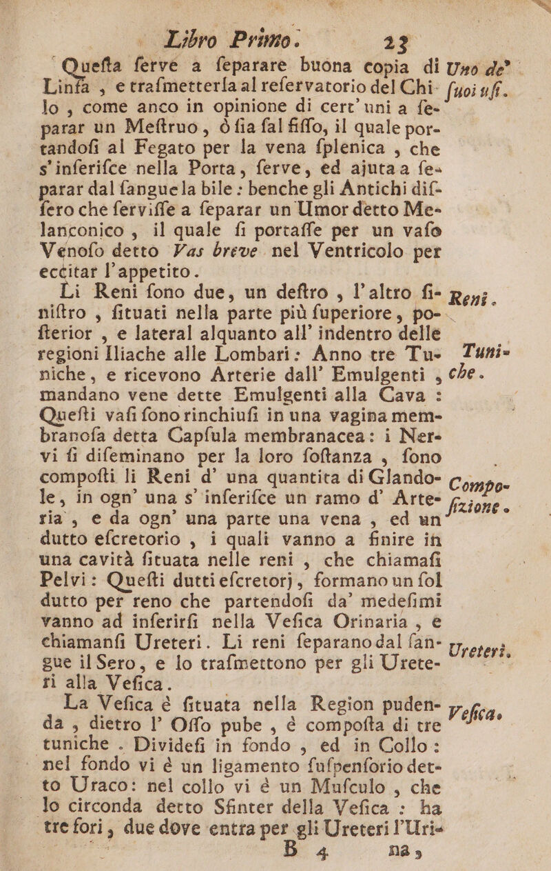 pira ferve a feparare buona copia di Uso de”. Linfa, e trafmetterfa al refervatorio del Chi fuoi uf. lo, come anco in opinione di cert uni a fe- parar un Meftruo, òfia fal fiffo, il quale por- tandofi al Fegato per la vena fplenica , che s'inferifce nella Porta, ferve, ed ajutaa fe» parar dal fanguela bile : benche gli Antichi dif- fero che ferviffe a feparar un Umor detto Me- lanconico, il quale fi portaffe per un vafo Venofo detto Vas breve nel Ventricolo per eccitar l'appetito. i Reni fono due, un deftro , l’altro fi- Reyj. niftro , fituati nella parte più fuperiore, po-.. fterior , e lateral alquanto all’ indentro delle regioni Iliache alle Lombari: Anno tre Tu Turi» niche, e ricevono Arterie dall’ Emulgenti , che. mandano vene dette Emulgenti alla Cava : Quefti vafi fono rinchiufi in una vagina mem- branofa detta Capfula membranacea: i Ner- vi fi difeminano per la loro foftfanza , fono compofti li Reni d’ una quantita di Glando- le, in ogn’ una s° inferifce un ramo d’ Arte» ria, e da ogn una parte una vena, ed un ‘ dutto efcretorio , i quali vanno a finire if una cavità fituata nelle reni, che chiamafi Pelvi: Quefti dutti efcretorj, formano un fol dutto per reno che partendofi da’ medefimi vanno ad inferirfi nella Vefica Orinaria, € chiamanfi Ureteri. Li reni feparanodal fan- gue il Sero, e lo trafmettono per gli Urete- ri at: i n a Vefica è fituata nella Region puden- da , dietro l’ Offo pube , è compofta di tre Vefica» “tuniche . Dividefi in fondo , ed in Collo: | nel fondo vi è un ligamento fufpenforio det» to Uraco: nel collo vi è un Mufculo , che Compo- Szione Ureteri. tre fori, due dove ‘entra per gli Ureteri Uri i est B 4 na»