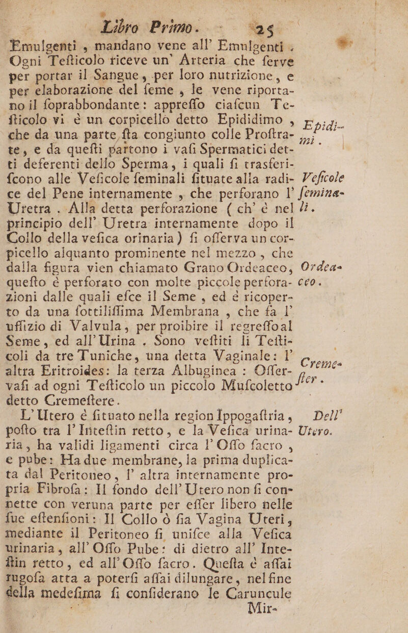 * È) | Libro Primo. | “26 FEmulgenti , mandano vene all’ Emnlsenti . Ogni Tefticolo ticeve un’ Arteria che ferve per portar il Sangue, .per loro nutrizione, e per elaborazione del feme , le vene riporta- no il foprabbondante: appreffo ciafcun Te- fticolo vi è un corpicello detto Epididimo , che da una parte,fta congiunto colle Proftra- te, e da quefti partono i vafi Spermatici det- ti deferenti dello Sperma, i quali fi trasferi- {cono alle Veficole feminali fituate alia radi- PA E pidi- mi. | Veficole principio dell’ Uretra internamente dopo il Collo della vefica orinaria) fi offerva un cor- picello alquanto prominente nel mezzo, che zioni dalle quali efce il Seme, ed e ricoper- to da una fottiliffima Membrana , che fa I’ uffizio di Valvula, per proibire il regreffoal Seme, ed all’Urina . Sono vettiti li Tetti- coli da tre Tuniche, una detta Vaginale: l altra Eritroides: la terza Albuginea : Offer- vafi ad ogni Tefticolo un piccolo Mufcoletto detto Cremetftere. L’Utero e fituato nella region Ippogaftria, Cremea Dell ria, ha validi ligamenti circa !'Offo facto, e pube: Ha due membrane, ia prima duplica- ta dal Peritoneo, 1’ altra internamente pro- pria Fibrofa: Il fondo dell’ Utero non fi con- nette con veruna parte per efler libero nelle fue eftenfioni: Il Collo ò fia Vagina Uteri, mediante ìil Peritoneo fi unifce alla Vefica urinaria, all’Offo Pube: di dietro all’ Inte- ftin retto, ed all'Offo facro. Quefta è affai tugofa atta a poterfì affai dilungare, nelfine della medefima fi confiderano le sig Pn ir=