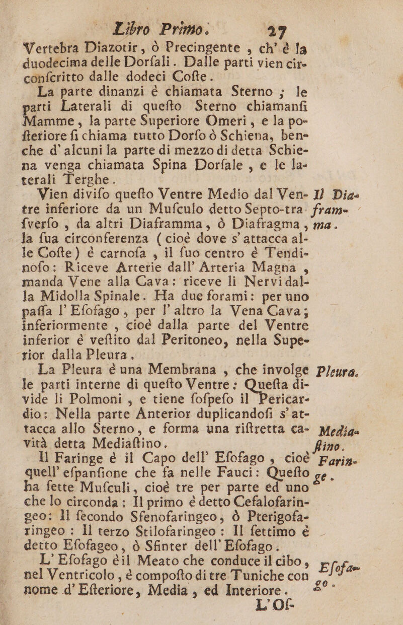 Vertebra Diazotir, ò Precingente , ch’ è la duodecima delle Dorfali. Dalle parti vien cite conferitto dalle dodeci Cofte. La parte dinanzi é chiamata Sterno ; le parti Laterali di quefto Sterno chiamanfi Mamme, la parte Superiore Omeri, e la po- fteriore fi chiama tutto Dorfo ò Schiena, bene che d’ alcuni la parte di mezzo di detta Schie- na venga chiamata Spina Dorfale , e le la terali Terghe. Vien divifo quefto Ventre Medio dal Ven- I) Dia . fverfo, da altri Diaframma, ò Diafragma, ma. | Ja fua circonferenza (cioè dove s' attacca al- le Cofte) è carnofa , il fuo centro é Tendi- nofo: Riceve Arterie dall’ Arteria Magna , manda Vene alla Cava: riceve li Nervi dal- la Midolla Spinale. Ha due forami: per uno paffa l’ Efofago, per l’altro la Vena Cava; inferiormente , cioé dalla parte del Ventre inferior è veftito dal Peritoneo, nella Supe- ‘rior dalla Pleura, La Pleura é una Membrana , che involge p/eyra. le parti interne di quefto Ventre: Quefta di- vide li Polmoni , e tiene fofpefo il Pericar- dio: Nella parte Anterior dupiicandofi s’ at- tacca allo Sterno, e forma una riftretta ca- Medis» vità detta Mediaftino. fino. Il Faringe é il Capo dell’ Efofago , cioè’ Faris: quell’ efpanfione che fa nelle Fauci: Quefto go, ha fette Mufculi, cioè tre per parte ed uno che lo circonda; Il primo é detto Cefalofarin- geo; Ii fecondo Sfenofaringeo, è Pterigofa- ringeo : Il terzo Stilofaringeo : Il fettimo è . detto Efofageo, è Sfinter dell’ Efofago. - L' Efofago éil Meato che conduce ilcibo, Efofam nel Ventricolo, é compofto di tre Tuniche con i nome .d’ Efteriore, Media , ed sit ; o all de