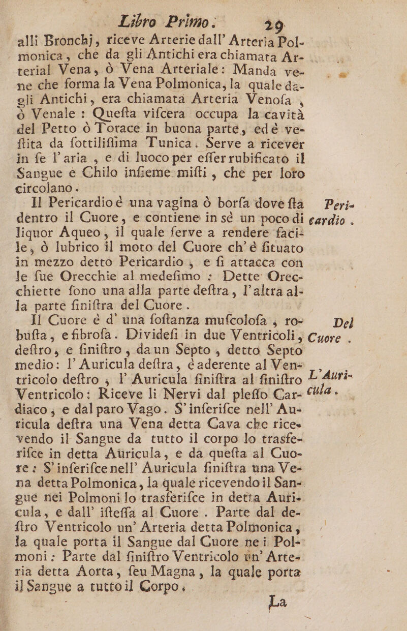 alli Bronchj, riceve Arterie dall’ Arteria Pol- terial Vena, ò Vena Arteriale: Manda ve- ne che forma la Vena Polmonica, la quale da- gli Antichi, era chiamata Arteria Venofa , ò Venale : Quefta vifcera occupa la cavità del Petto ò Torace in buona parte, edè ve- ftita da fottilifima Tunica. Serve a ricever in fe l’aria , e di luoco per efferrubificato il Sangue è Chilo infieme mifti, che per loto circolano . HI Pericardio è una vagina ò borfa dove fta dentro il Cuore, e contiene in sé un pocodi liquor Aqueo, il quale ferve a rendere faci- le, ò lubrico il moto del Cuore ch’é fituato in mezzo detto Pericardio } e fi attacca con le fue Orecchie al medefimo : Dette Orec- chiette fono una alla parte deftra, l’altra al- la parte finiftra del Cuore. Il Cuore e d’ una foftanza mufcolofa , ro- Peri cardio . Del detro, e finiftro, daun Septo , detto Septo medio: l’ Auricula deftra, e aderente al Ven- tricolo deftro ; l’ Auricula finiftra al finiftro diaco ; e dal paro Vago. S'inferifce nell’ Au- ricula deftra una Vena detta Cava che rice» vendo il Sangue da tutto il corpo lo trasfe- rifce in detta Aùricula, e da quefta al Cuo- re: S'inferifce nell’ Auricula finiftra una Ve- gue nei Polmoni lo trasferifce in detta Auti. cula, e dall’ ifteffa al Cuore . Parte dal de- firo Ventricolo un’ Arteria detta Polmonica, moni: Parte dal finiftro Ventricolo én° Arte- ria detta Aorta, feu Magna, la quale porta il Sangue a tuttoil Corpo. . | | La L’Auri=