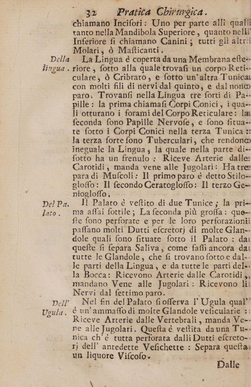 lingua . Del Pa. fato è Del? Uoula ; Li ° 3» Pratica Chirurgica. ranto nella Mandibola Superiore, quanto nelll' Inferiore fi chiamano Ganinij tutti gli altrii Molari, ò Mafticanti, riore, fotto alla quale trovafi un corpo Reti-- culare;, ò Cribraro, e fotto un’altra Tunica con molti fili di nervi dal quinto, e dal nori® paro. Trovanfi nella Lingua tre forti di Pa-- pille : Ia prima chiamafi Corpi Conici, i qua-- li otturano i forami del Corpo Reticulare: lai feconda fono Papille Nervofe, e fono fitua-- te fotto i Gorpi Conici nella terza Tunica e: la terza forte fono Tuberculari, che rendon®@ ineguale la Lingua; la quale nella parte di- fotto ha un frenulo : Riceve Arterie dalle: Carotidi; manda vene alle Jugolari: Ha tree para di Mufcoli: Il primo paro è detto Stilo- glofo: Il fecondo Ceratogloffo: Il terzo Ge+- niogloffo, - i Il Palato è veftito di due Tunice ; la pri- ma affai fottile; La feconda più groffa: que fte fono perforate e per de loro perforazionii paffano molti Dutti efcretorj di molte Glan-- dole quali fono fituate fotto il Palato : dat quefte fi fepara Saliva, come fafli ancora dai tutte le Glandole, che fi trovano fotto e dal. le parti della Lingua, e da tutte le parti dele. la Bocca: Ricevono Arterie dalle Carotidi,, mandano Vene alle Jugolari : Ricevono lii Nervi dal fettimo paro. mgan Nel fin del Palato fioferva V Ugula qual” è un’ammaffo di molte Glandole veficularie :: Riceve Arterie dalle Vertebrali, manda Ve-- ne alle Jugolari. Quefta è vettita da una Tu-. nica ch'é tutta perforata dalli Dutti efereto-. 1) dell’ antedette Vefichette : Separa queta» un liquore Vifcofo« - Boo n sai Dalle \
