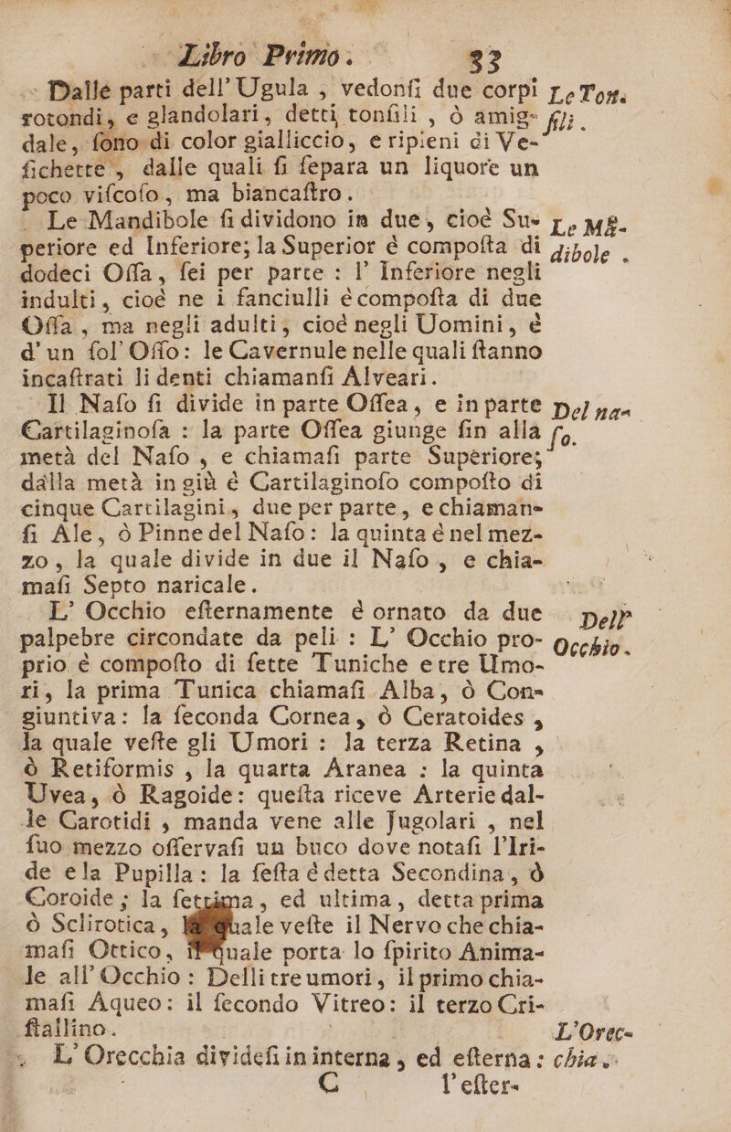 .» Dalle parti dell’Ugula , vedonfi due corpi ro Toy. rotondi, e glandolari, detti tonfili, ò amig: gg; dale, fono-di color gialliccio, e ripieni di Ve- fichette, dalle quali fi fepara un liquore un poco vifcofo, ma biancaftro . . Le Mandibole fi dividono in due, cioè Sus r, M£. periore ed Inferiore; la Superior è compofta di Jg;bole . dodeci Offa, fei per parte : l’ Inferiore negli indulti, cioe ne i fanciulli e compofta di due Ofa, ma negli adulti; cioé negli Uomini, è d'un fol Offo: le Cavernule nelle quali ftanno incaftrati li denti chiamanfi Alveari. Gartilaginofa : la parte Offea giunge fin alla f, metà del Nafo , e chiamafi parte Superiore; dalla metà in giù é Cartilaginofo compofto di cinque Cartilagini, due per parte, echiaman» fi Ale, ò Pinne del Nafo: la quinta é nel mez- 20, la quale divide in due il Nafo, e chia- mafi Septo naricale. | L’ Occhio efternamente è ornato da due. pg} palpebre circondate da peli : L° Occhio pro- 0cchio. prio è compofto di fette Tuniche e tre Umo- ri, la prima Tunica chiamafi Alba, ò Con giuntiva: la feconda Cornea, ò Ceratoides , la quale vefte gli Umori : la terza Retina , ò Retiformis, la quarta Aranea : la quinta Uvea, ò Ragoide: quelta riceve Arterie dal- de Garotidi , manda vene alle Jugolari , nel fuo mezzo offervafi un buco dove notafi l’Iri- de ela Pupilla: la fefta é detta Secondina, è Coroide ; la fetgima, ed ultima, detta prima ò Sclirotica, ale vette il Nervo che chia- cmafi Ottico, IPuale porta lo fpirito Anima- Je all’Occhio : Delli treumori, il primo chia- mafi Aqueo: il fecondo Vitreo: il terzo Cri- ftallino. i Ta L'Orec= = L'Orecchia dividefiininterna, ed efterna: chiav DE C l’efter. ii;