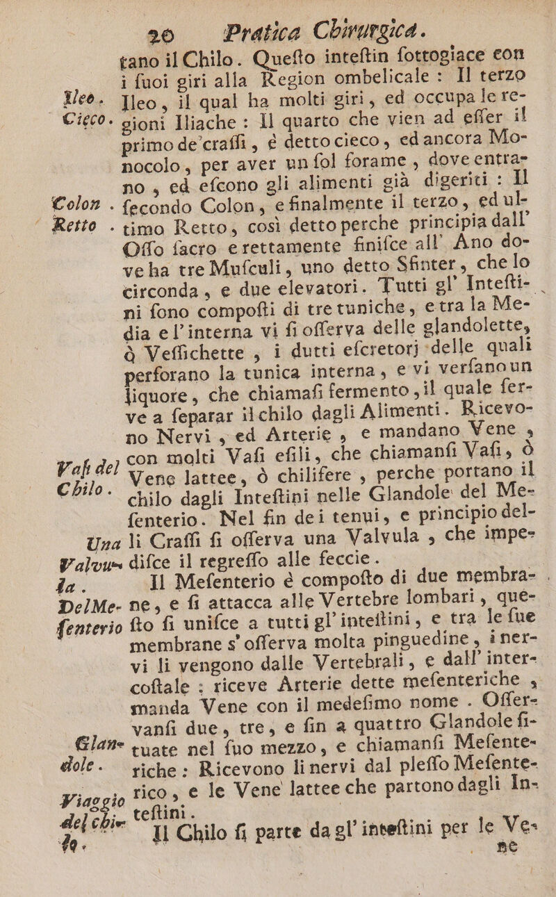 tano il Chilo. Quefto inteftin fottogiace con i fuoi giri alla Region ombelicale : Il terzo geo. Ileo, il qual ha molti giri, ed occupa le re- Cieco. sioni Iliache : Il quarto che vien ad effer il primo de’craffi, é detto cieco, edancora Mo- nocolo, per aver un fol forame , dove entra- ; no , ed efcono gli alimenti già digeriti : Il Colon ‘ fecondo Colon, e finalmente il terzo, ed ul Retto . timo Retto; così detto perche principia dall’ Offo facto erettamente finifce all Ano do- veha tre Mufculi, uno detto Sfinter, che lo circonda, e due elevatori. Tutti gl’ Intefti- . ni fono compofti di tre tuniche, etra la Me- dia el’interna vi fi offerva delle glandolette, ò Veffichette , i dutti efcretori delle quali perforano la tunica interna, € vi verfanoun liquore, che chiamafi fermento , il quale fer- ve a feparar ilchilo dagli Alimenti. Ricevo- no Nervi y ed Arterie , e mandano Vene 4 Vafi del SP molti Vafi efili, che chiamanfi Vafi, ò Chilo . Vene lattee, ò chilifere , perche portano il i chilo dagli Inteftini nelle Gilandole del Me- fenterio. Nel fin dei tenui, e principio del- Una li Craffi fi offerva una Valvula , che impe- Valvu= difce il regreffo alle feccie. | fa . Il Mefenterio è compofto di due membra- . DelMe- ne, e fi attacca alle Vertebre lombari, que- fenterio fto fi unifce a tutti gl’inteltini, e tra le fue membrane s' offerva molta pinguedine, i ner- vi li vengono dalle Vertebrali, e dall’ inter- coftale ; riceve Arterie dette mefenteriche , manda Vene con il medefimo nome . Offer- , vanfi due, tre, e fin a quattro Glandole fi- È ogg tuate nel fuo mezzo, € chiamanfi Mefente- ole- riche: Ricevono linervi dal pleffo Mefente- Piaogio 100» e le Vene lattee che partono dagli In- del chie teftini. Las : taggi Il Chilo fi parte da gl'inteftini per sia