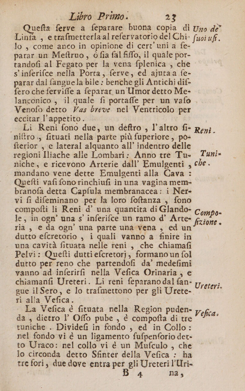 Quefta ferve a feparare buona copia di Uxo de” Linfa , etrafmetterla al refervatorio del Chi- fuoi uf. lo, come anco in opinione di cer uni a fe- parar un Meftruo, ò fia fal fiffo, il quale por- tandofi al Fegato per la vena fplenica , che s’inferifce nella Porta, ferve, ed ajutaa fe- parar dal fanguela bile : benche gli Antichi dif- fero che ferviffe a feparar un Umor detto Me- lanconico , il quale fi portaffe per un vafo . Venofo detto Vas breve nel Ventricolo per eccitar l’appetito . . Li Reni fono due, un deftro , l’altro fi- poy;. niftro., fituati nella parte più fuperiore, po- iterior , ‘e lateral alquanto all’ indentro delle regioni Iliache alle Lombari: Anno tre Tu. Turi» niche, e ricevono Arterie dall’ Emulgenti , che . . mandano vene dette Emulgenti alla Cava : Quetfti vafi fono rinchiufi in una vagina mem- branofa detta Capfula membranacea: i Ner- vi fi difeminano per la loro foftanza , fono compofti li Reni d’ una quantita di Glando- le, in ogn’ una s' inferifce un ramo d’ Arte- ria, e da ogn' una parte una vena , ed un dutto efcretorio , i quali vanno a finire in una cavità fituata nelle reni, che chiamafi Pelvi: Quefti dutti efcretorj, formano un fol dutto per reno che partendofi da’ medefimi vanno ad inferirfi nella Vefica Orinaria, e chiamanfi Ureteri. Li reni feparano dal fan- gue il Sero, e lo trafmettono per gli Urete- ri alla Vefica. PU La Vefica è fituata nella Region puden- da , dietro I’ Offo pube, è compotta di tre tuniche . Dividefi in fondo , ed in Collo: nel fondo vi è un ligamento fufpenforio det» to Uraco: nel collo vi è un Mufculo , che lo circonda detto Sfinter della Vefica : ha tre fori, due dove entra per gli Ureteri Uri. Da &lt; (nd, Compo= fizione Ureteri. Vefica.