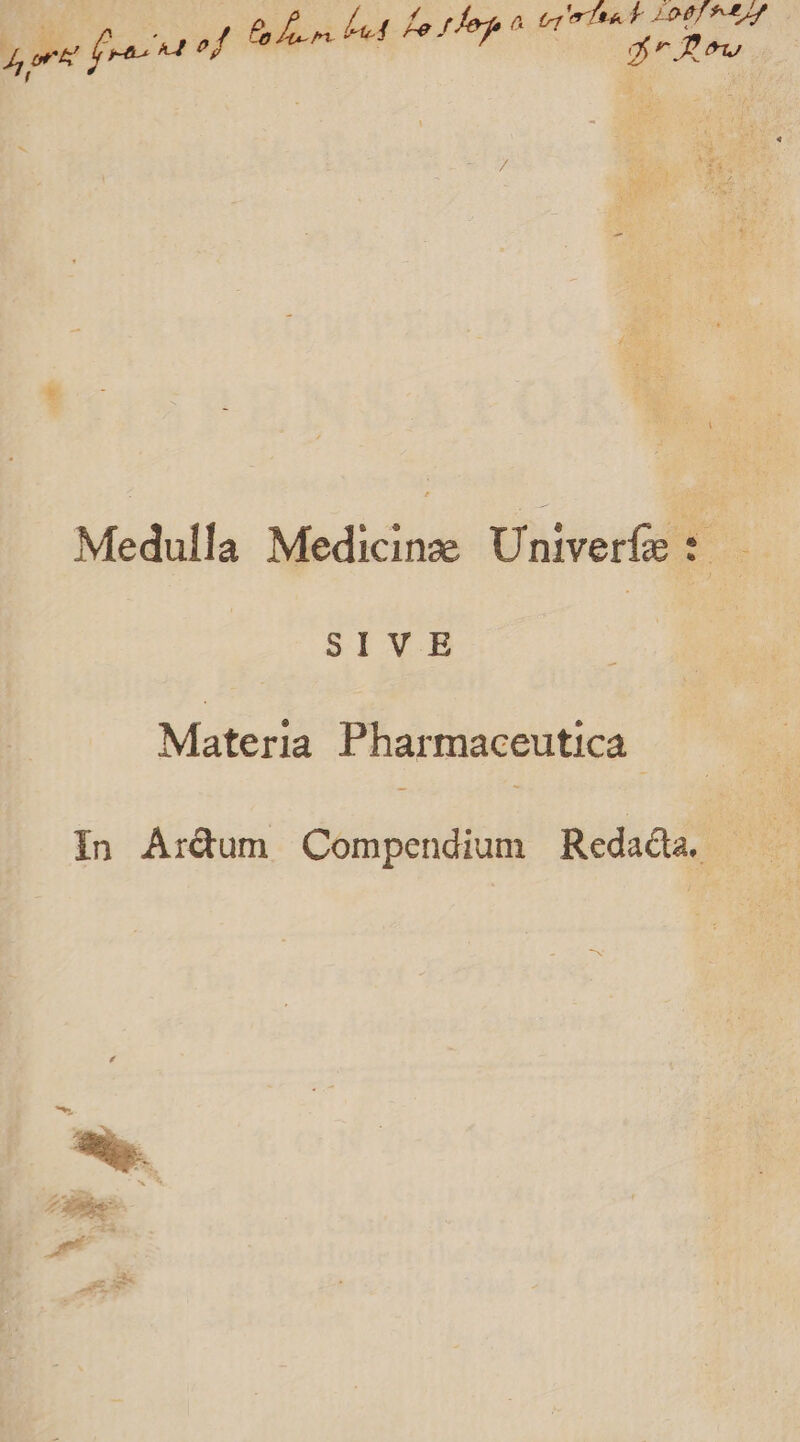 Medulla Medicinze Univerfe: SIV.E Materia Pharmaceutica In Ara&amp;tum Compendium Redacta.