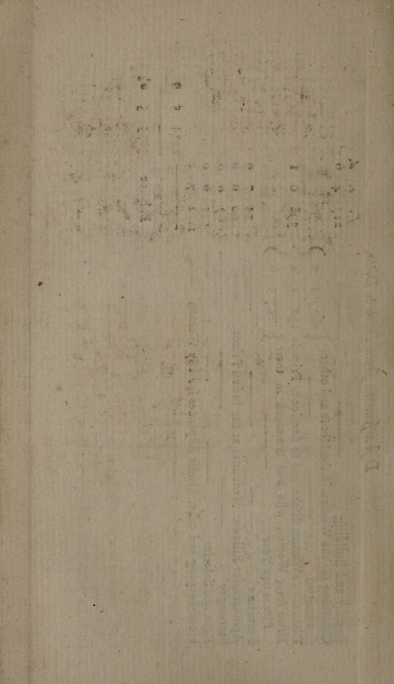 Spire: perenne -i he eee pie ~ ae ik ae Seales ee: Shs oy cea