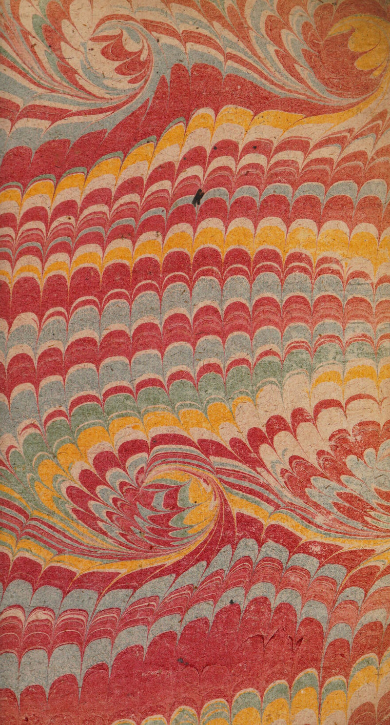 No text description is available for this image