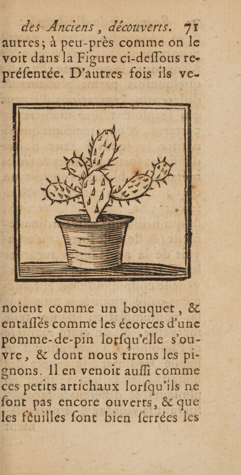 autres; à peu-près comme on le voit dés la Figure ci-deflous re- préfentée. D’autres fois ils ve- noient comme un bouquet, &amp; entaflés comme les écorces d’une pomme-de-pin lorfqu elle s’ou- vre, &amp; dont nous tirons les pi- gnons. Il en venoit auffi comme ces petits artichaux lorfqu'ils ne font pas encore ouverts, &amp; que les fêuilles font bien (Etre les