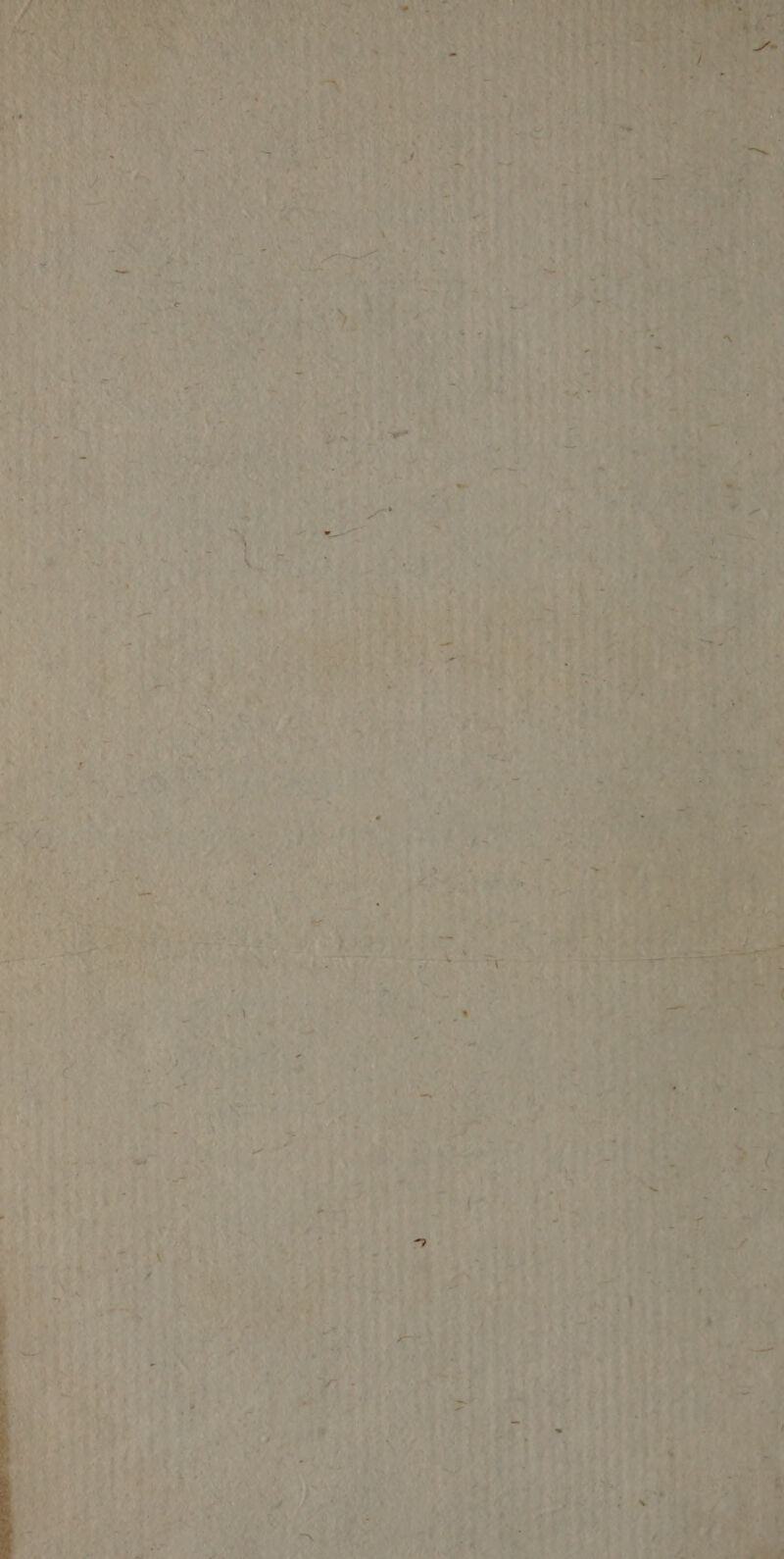 RS PET NENNe RL Po.)