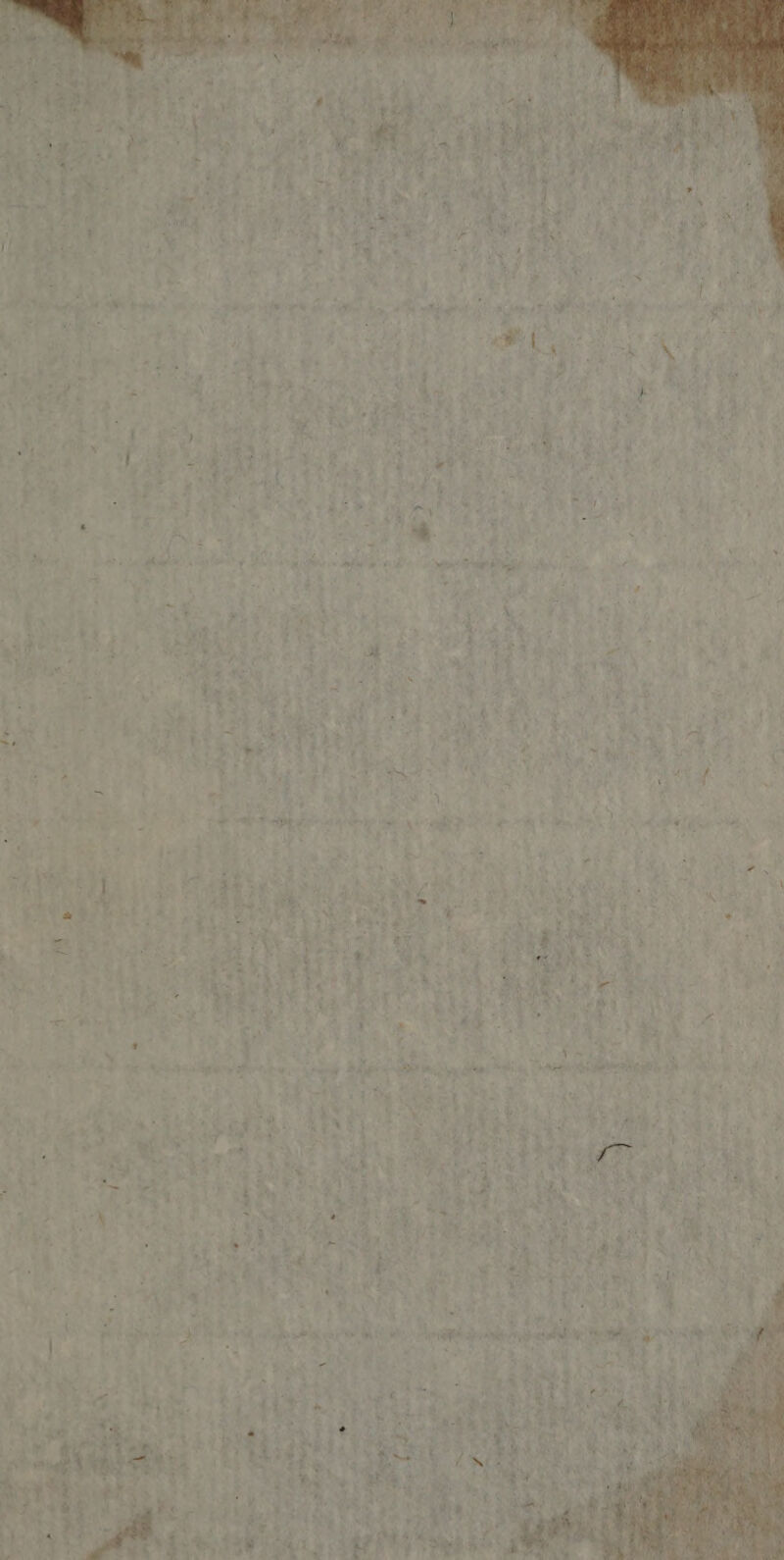 \ te &gt; 2 L+ s È M a . = + 4 NT #4 ï £ à [A &lt;&amp;”, : DE ae F2 ” z D À ! - ” » + es s ETES G . + ‘ . € s 7 A TE t É L cc. - NET 7 à - à F x. Le, 4e * : 3 sk pt pe Er - ee Med 4 #, : pas Es ’ VA DL ; *% Yi f .  « x À ” Fine r . w= ‘ .