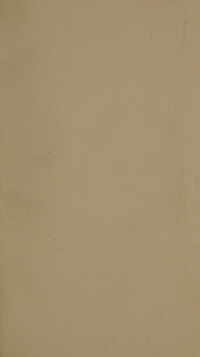 nee! ee ee aL * \oek As <9 t : ints th Waray RALCaEe A uhp a das hi 1 beans