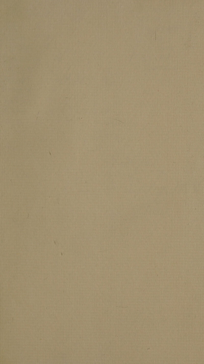 a ey > alta any pnp Cee, —_ ~~ , Ee eM ‘ PLP ME Seth A Tare Ay oe teh Bes said ib : att, aoe @ tt hibeod ry . pe tw ‘ “at “f eS a5 r aK * t, #4, Vie t: 5 fo r > Wf PRE cht Y ai WALD yy. +h
