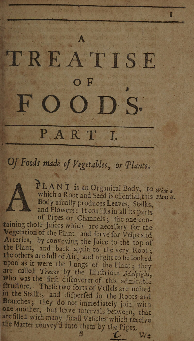 Of Foods made of Vegetables, or Plants. aN BL ANT is an Organical Body, to | which a Root and Seed js effential;this ” Body ufwally produces Leaves, Stalks, » and Flowers: It confiftsin all its parts _ Of Pipes or Channels; the one con- a yf xt ‘Vegetation of the Plant. and ferve for Veins and “Arteries, by conveyjng the Juice to the top of he Plant, and back again to the very Root; ‘the othets are full of Air, and ought to be looked ‘Upon as it were the Lungs of the Plant; they are called Traces by the Tluftrious Malpighi, ‘who was the firft difcoverer of this admirable ftruaure,. Thefe two forts of Veffels are united Base and difperfed in the Roots and Branches; they do not immediately join with one'another, but leave intervals between, that are filled with many fimall Veficles which receive the Matter conyey'd into Malad by the Pipes, a woe 3 em Wes &amp; What 2 Plant #.