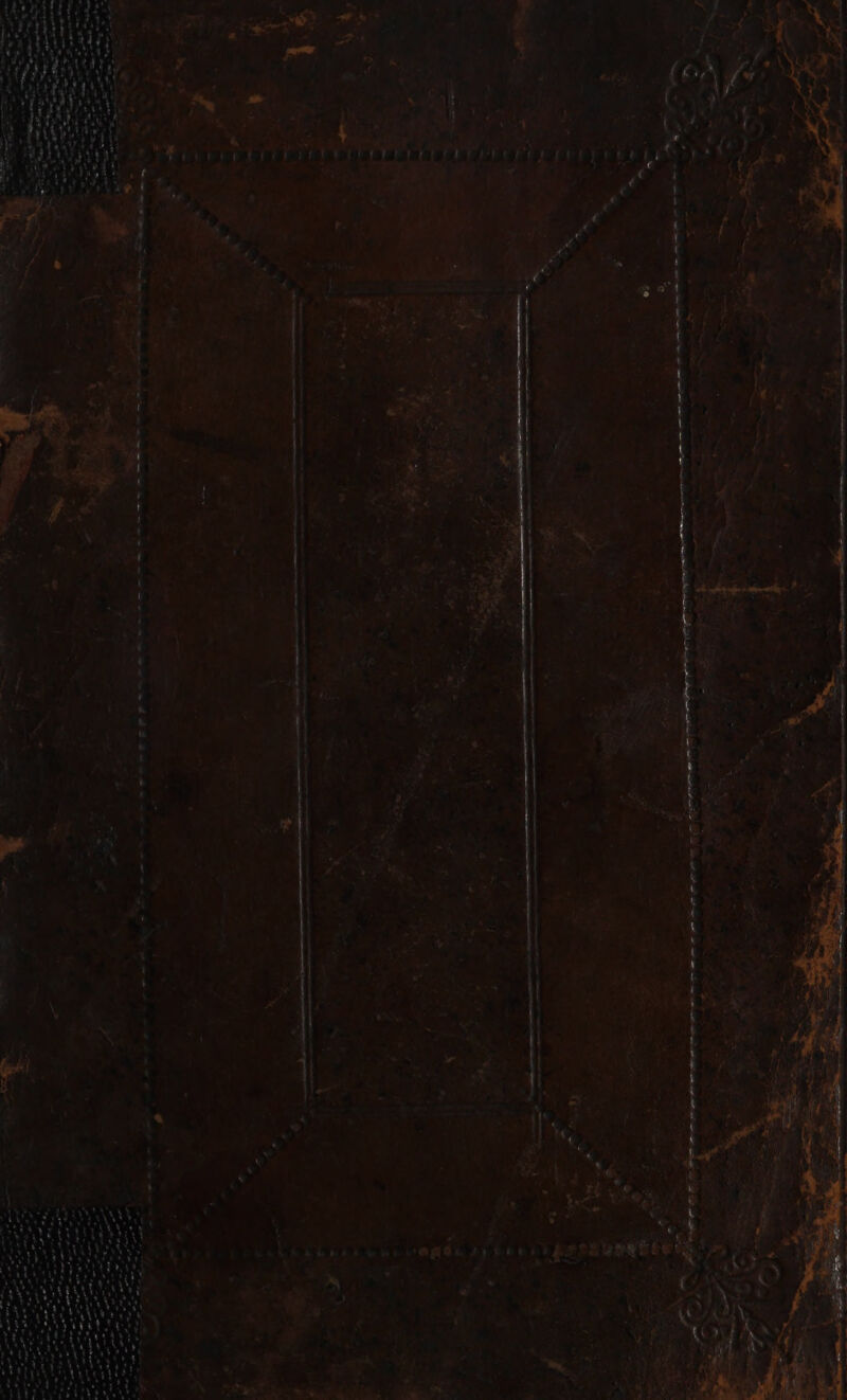 s « erebeeee fe? Bact &amp; * PL 4 4 ere hed 1 ; e 4 e- a eh RG hE L ewe ORs Spe PRS we m= ¥ 8 V7 1 ry ery a ; heel ¥ hm rity ‘4 ne o +. t at te 4 Pa o, <= s : ¢ + = — — ——— anand +e nena it ma et A OI I -——o = : a j ‘ed andes a 7 ‘ a a P ee ed i donne ne Pe adie Milas en th Rt DR at ee oe Qe ar 2 eee eohawe ‘02 — ; : - a ae - > yd ; < a Be Os Oe eee ee oe —— ~ e Se o * *