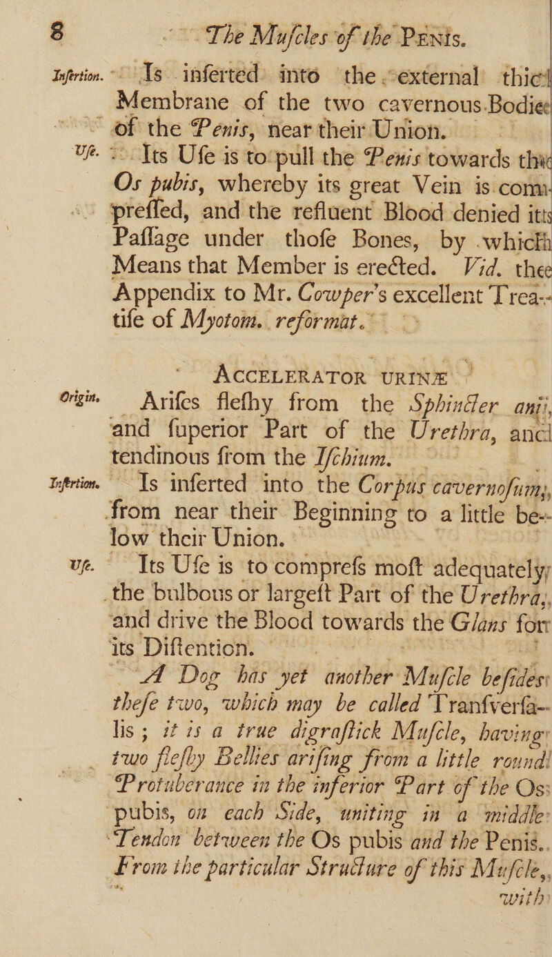 Up. Or igine Infertion, Up. ~The Mufeles of the Paxis. ds inferted) into the external _ thie: Membrane of the two cavernous Bodie - Its Ufe is to:pull the Penis towards thi Os pubis, whereby its great Vein is com: Paflage under thofe Bones, by -whicth Means that Member is erected. Vid. thee Appendix to Mr. Cowper's excellent Trea-- tife of Myotom. reformat. ACCELERATOR URINE © _ Aries flefhy from the Sphinder ON), and fuperior Part of the Urethra, ancl tendinous from the I/chinm. ~~ P Ps . &gt; “Is inferted into the Corpus cavernofum, low their Union. Its Ufe is to comprefs moft adequately and drive the Blood towards the Glaas for its Diftention. © vee ae AA Dog has yet another Mufcle be fides: thefe two, which may be called Tranfverfa-- lis; eis a true digraflick Mujfcle, bavingy two fiefby Bellies arifing from a little round! Protuberance in the inferior Part of the Os: From ihe particular Structure of this Mufcle,. “ | with?