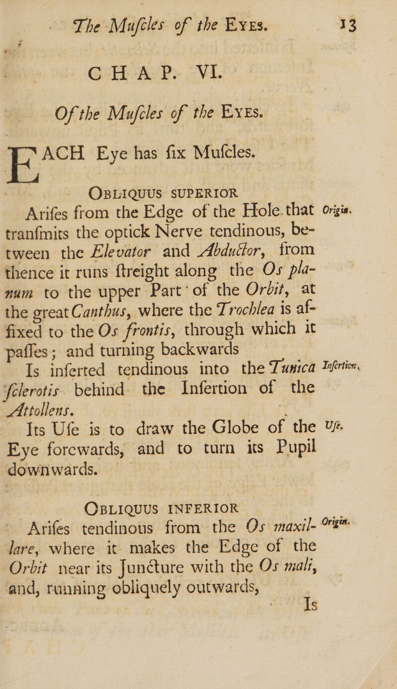 GTi P&gt; Ne! Of the Mujiles of the Eves. Pex Eye has fix Mutcles. mo OBLIQUUS SUPERIOR Arifes from the Edge of the Hole.that orgie tranfmits the optick Nerve tendinous, be- tween the Elevator and Abductor, from thence it runs ftreight along the Os pla- num to the upper Part‘ of the Orbit, at the great Canthus, where the Trochlea is af- fixed to the Os frontis, through which it paffes; and turning backwards Is inferted tendinous into the Tunica Ifrtion felerotis. behind. the Infertion of the Attollens. ¥ Its Ufe is to draw the Globe of the %% Eye forewards, and to turn its Pupil downwards. - OBLIQUUS INFERIOR | Arifes tendinous from the Os maxil- lare, where it makes the Edge of the Orbit near its Juncture with the Os malt, ‘and, running obliquely outwards, Is