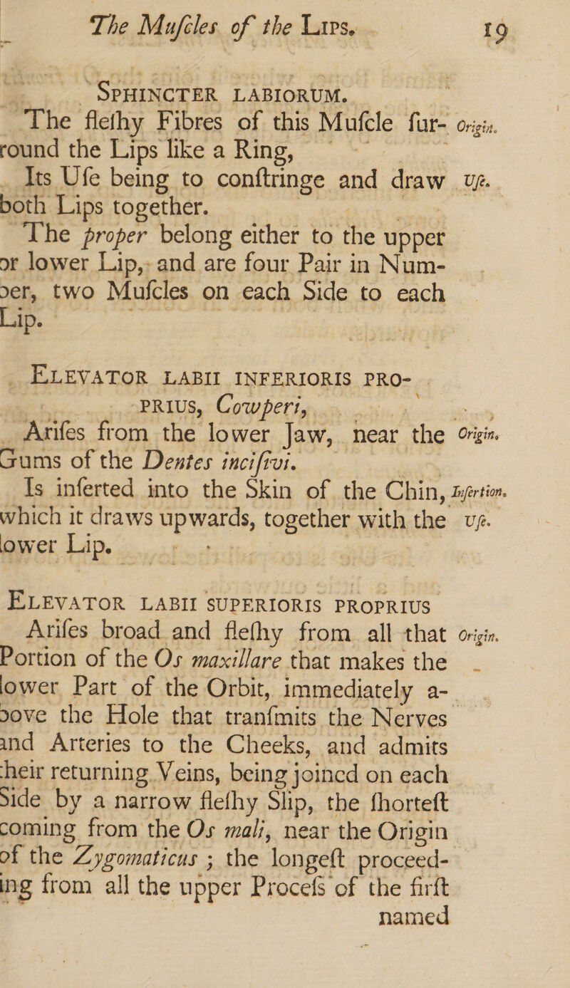 * SPHINCTER LABIORUM. The flethy Fibres of this Mutcle fur- origin round the Lips like a Ring, Its Ufe being to conftringe and draw Uf. both Lips together. The proper belong either to oe upper or lower Lip,- and are four Pair in Num- er, two Mutcles on each Side to each Lip. © _ ELEVATOR LABII INFERIORIS PRO- »PRIUS, Cowperi, re _ Arifes from the lower Jaw, near the Orn Gums of the Dentes inci fui. Is inferted into the Skin of the Chin, Zyertion which it draws Mpmas, together with the v¢. ower Lip, ELEVATOR LABII SUPERIORIS PROPRIUS Arifes broad and flefhy from. all that origin Portion of the Os maxillare that makes the lower Part of the Orbit, immediately a-- ove the Hole that tranfmits the Nerves’ and Arteries to the Cheeks, and admits heir returning Veins, being joined on each Side by a narrow flefhy Slip, the fhorteft coming from the Os mali, near the Origin: of the Zygomaticus ; the longeft proceed- ing from all the upper Procefs of the firft named