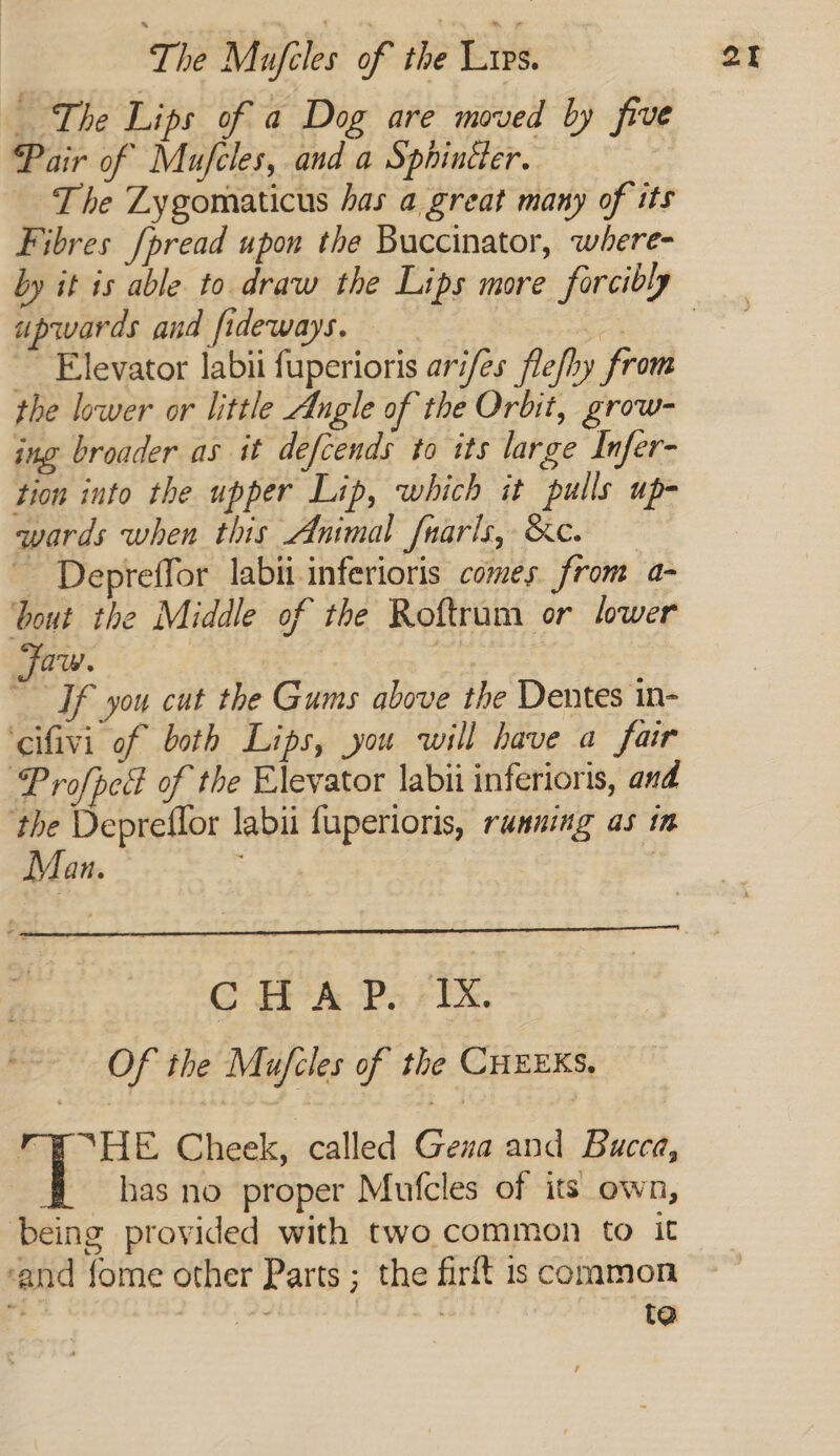The Lips of a Dog are moved by five Pair of Mufcles, and a Sphincter. The Zygomaticus has a great many of its Fibres /pread upon the Buccinator, where- upwards and fideways. . ~ Elevator labii fuperioris arifes flefhy from the lower or little Angle of the Orbit, grow- ing broader as it defcends to its large Infer- tion into the upper Lip, which it pulls up- qwards when this Animal fnarls, Kc. | ~ Depreffor labitinferioris comes. from a- bout the Middle of the Roftrum or lower Faw. | If you cut the Gums above the Dentes in- ‘cifivi of both Lips, you will have a fair Profpedt of the Elevator labii inferionts, and the Depreflor labii fuperioris, ramming as in Man. CG HA Pa TX. Of the Mufcles of the CHEEKS. a ge Cheek, called Gena and Bucea, has no proper Mufcles of its own, being provided with two common to it ‘and {ome other Parts ; the firft is common _ os | te